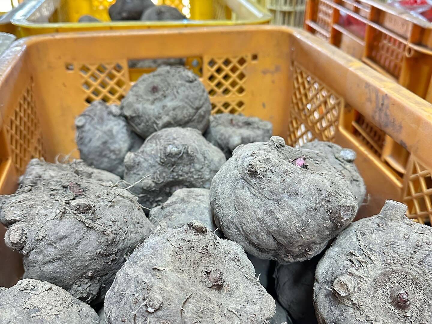 89b730ca7d337eb3e1aa6876ba96cd