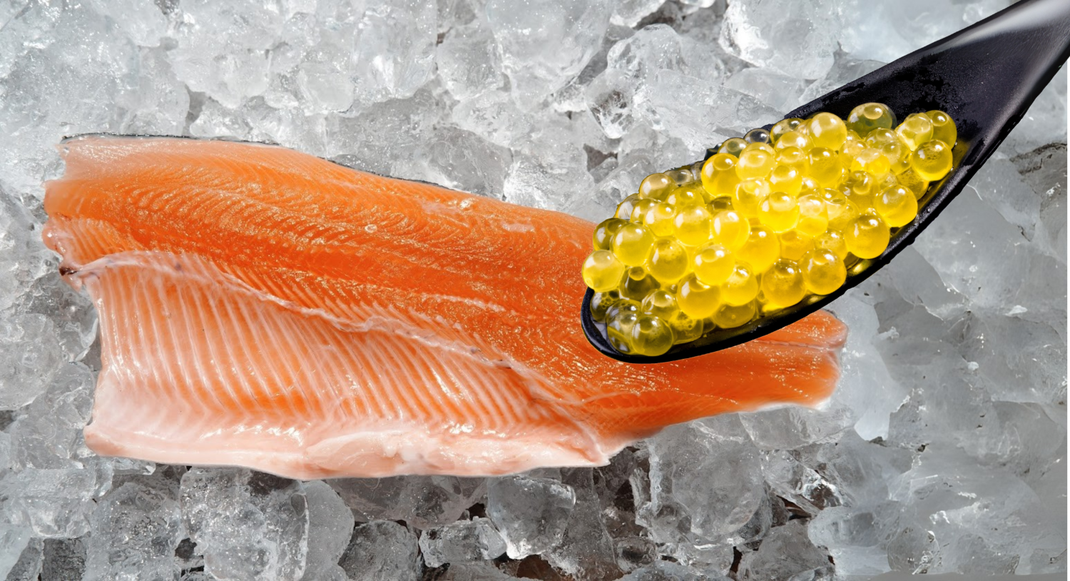 【300円】8/29(金)22:00-ゲリラ開催記念出品 Used 2024 Kawasaki Ninja ZX-6R ABS KRT Edition, Melbourne FL