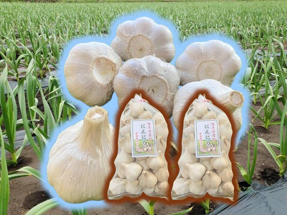 旨味と甘み凝縮！熊本県産『生にんにく』【訳あり】ご家庭用2kg/（1