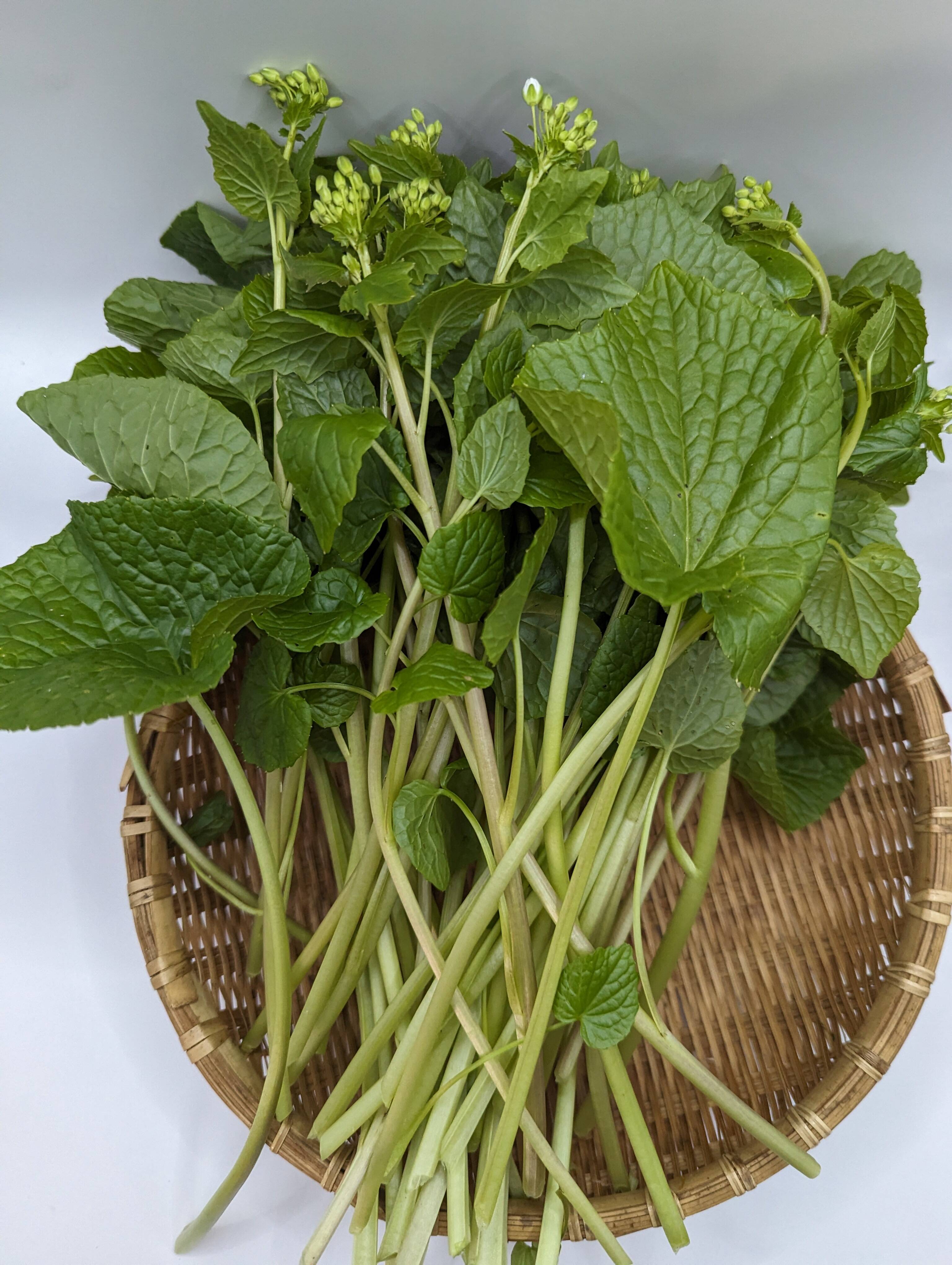 爽やかな辛みと春の風味！葉わさび200g（農薬化学肥料不使用）：青森県
