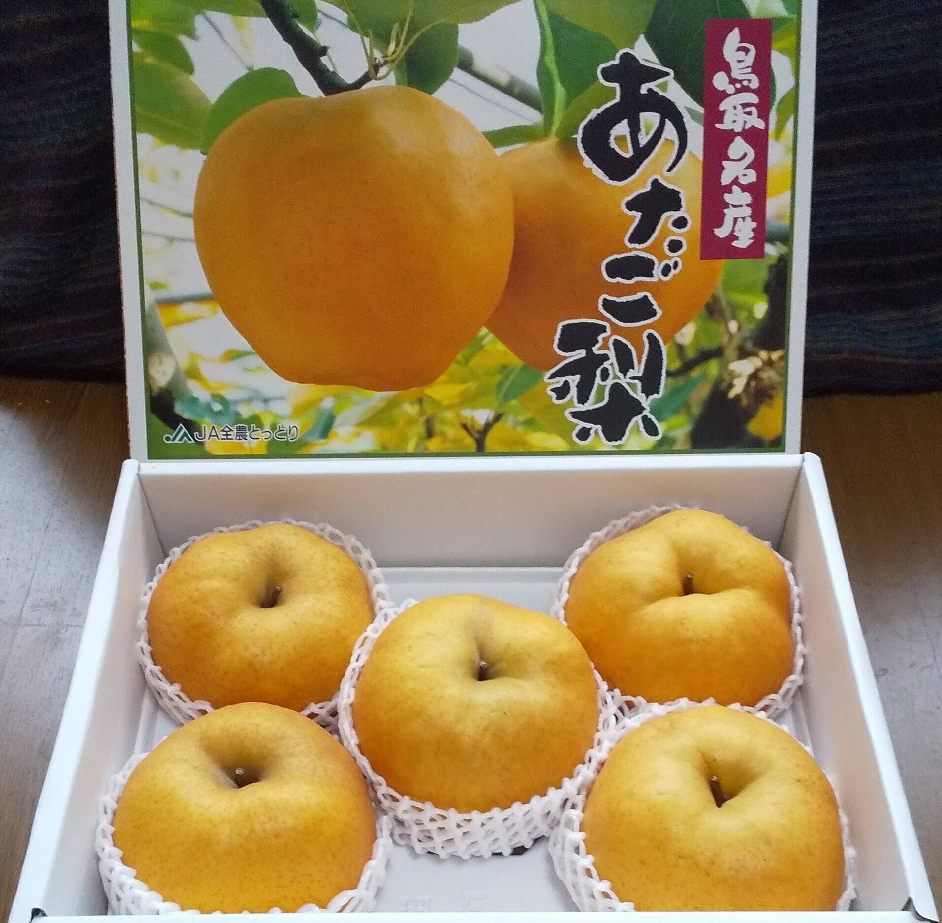 冬ギフト】化粧箱入り!鳥取県産 あたご梨 約5kg:鳥取県産の 冬ギフト】化粧箱入り!鳥取県産 あたご梨 約5kg:鳥取県産の