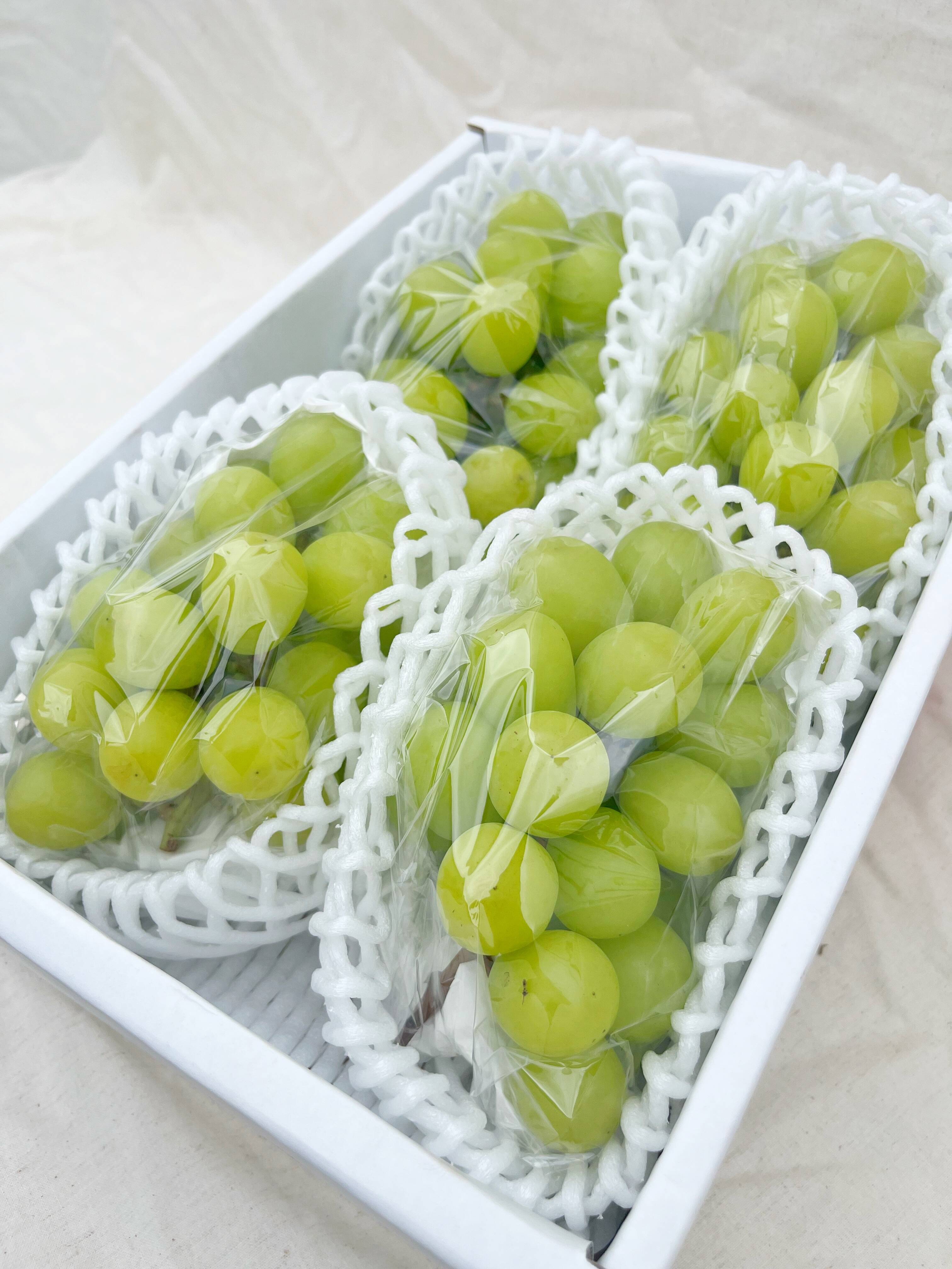 8a791cc2f94cb7eb3827f75b0a5077