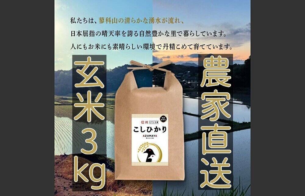 【令和5年度産】玄米3kg 信州たてしな産 コシヒカリ：長野県産のお米