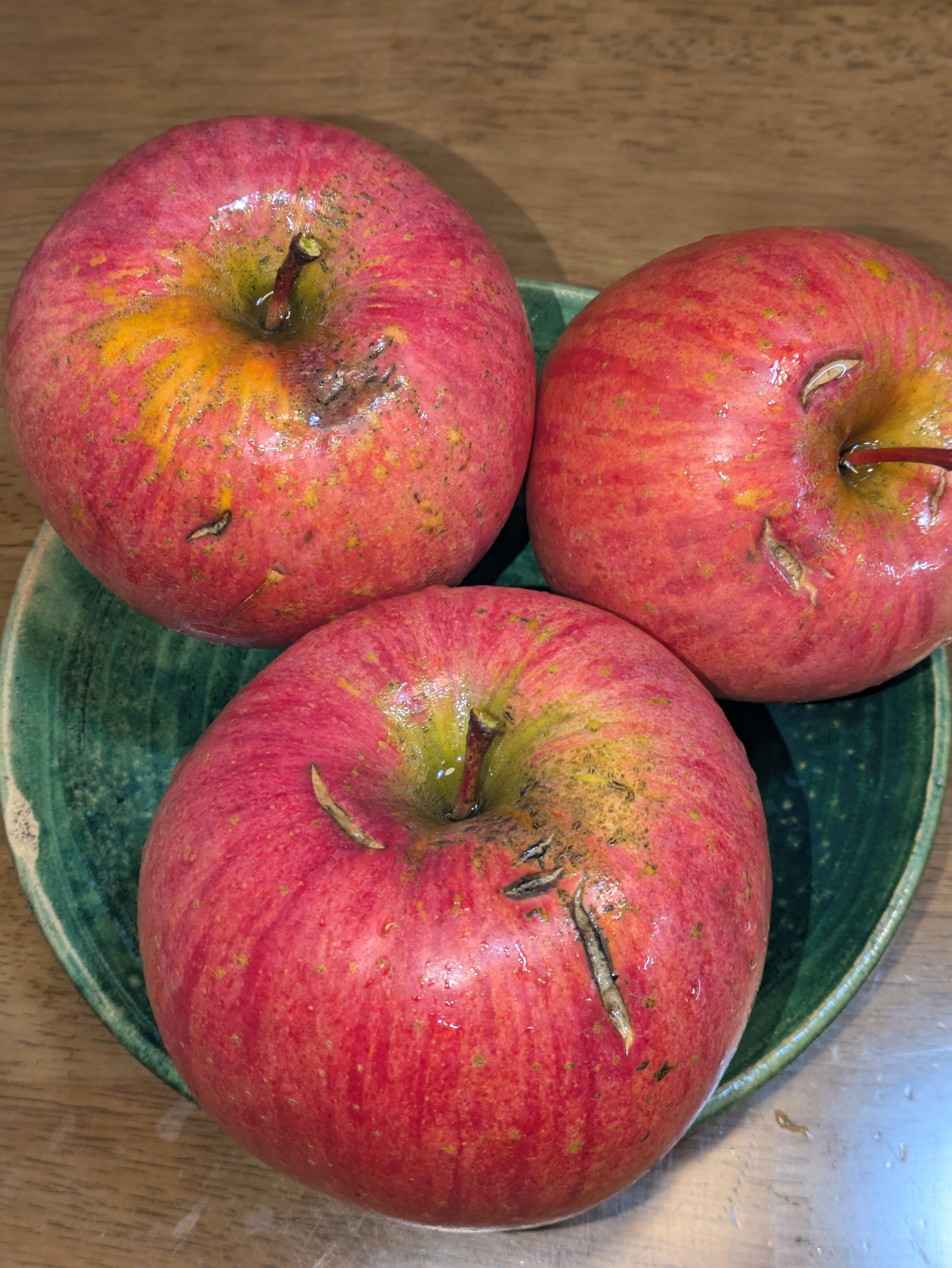 8ae9fe6ef46ca81f9cd13e4c209bb6