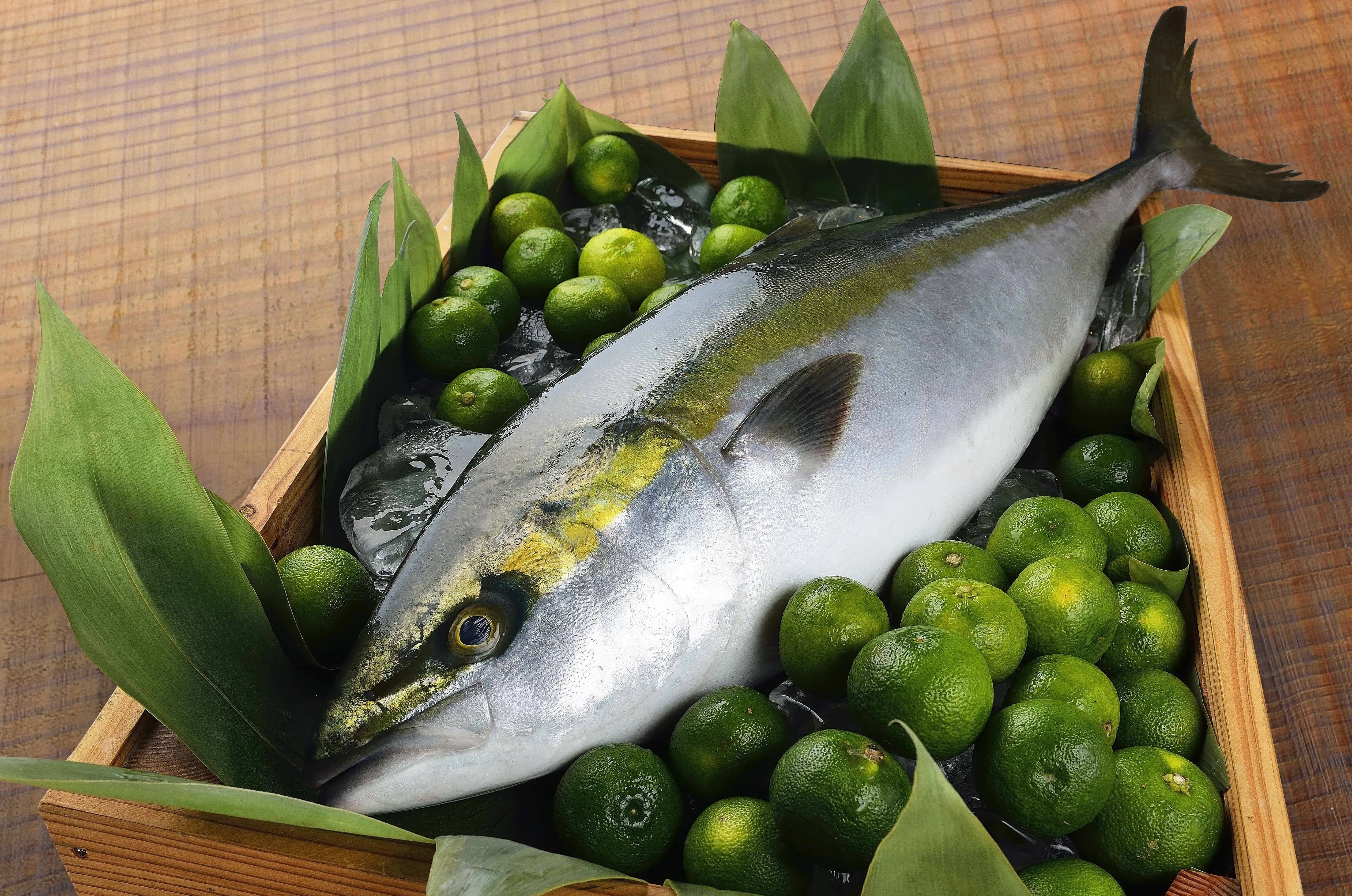 MEL認定取得】徳島県産ブランド鰤「すだちぶり」4.0kgサイズ ラウンド1