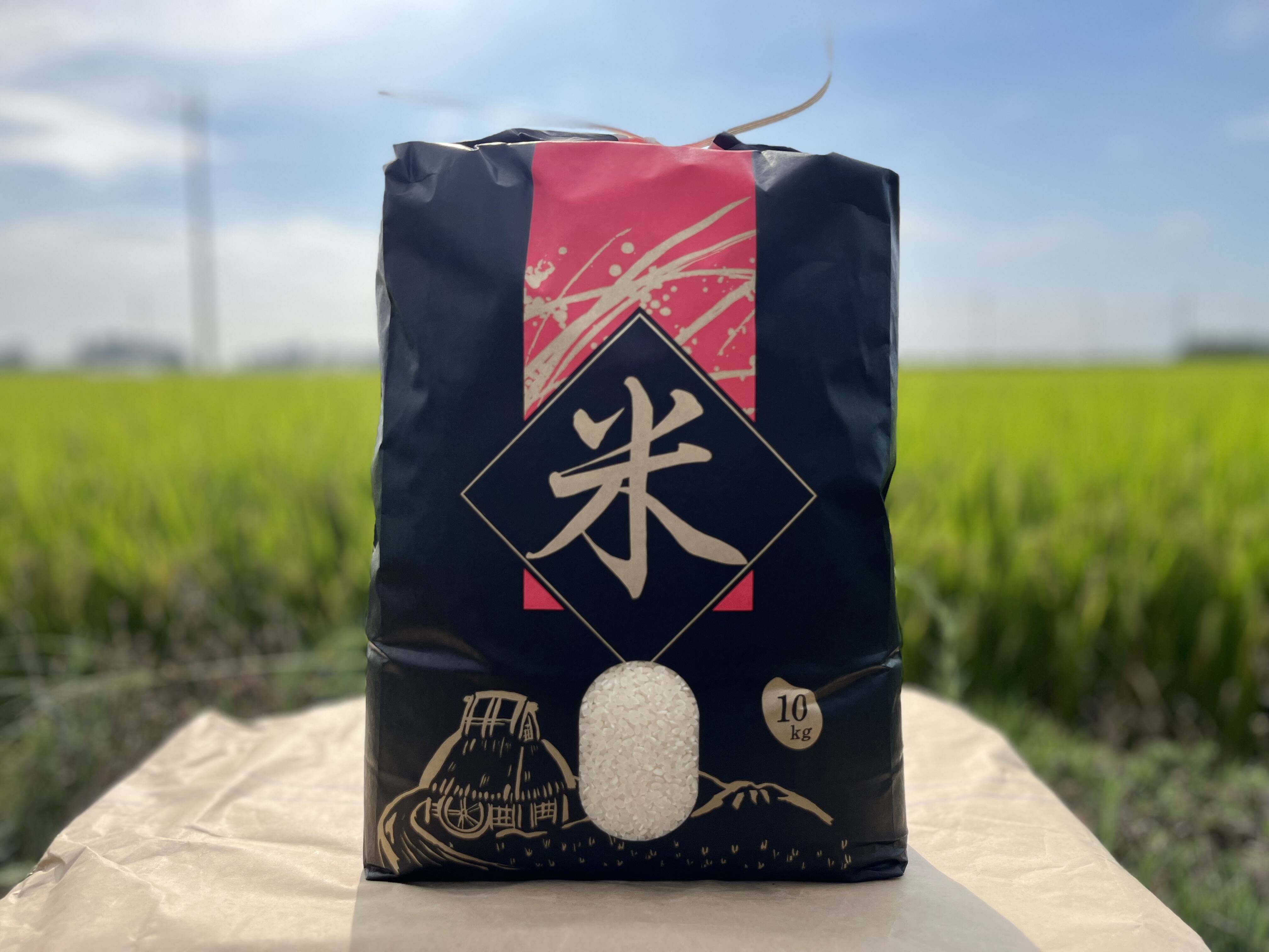 厳選！栃木県那須塩原市産コシヒカリ 令和7年産新米10キロ：栃木県産の