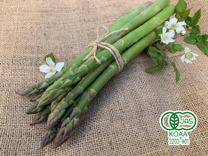 2lサイズ 500g オーガニック グリーンアスパラガス 山口県産のアスパラガス 食べチョク 産地直送 産直 お取り寄せ通販 農家 漁師から旬の食材を直送 2lサイズ 500g オーガニック グリーンアスパラガス 山口県産のアスパラガス 食べチョク 産地直送 産直 お取り寄せ通販 農家 漁師から旬の食材を直送