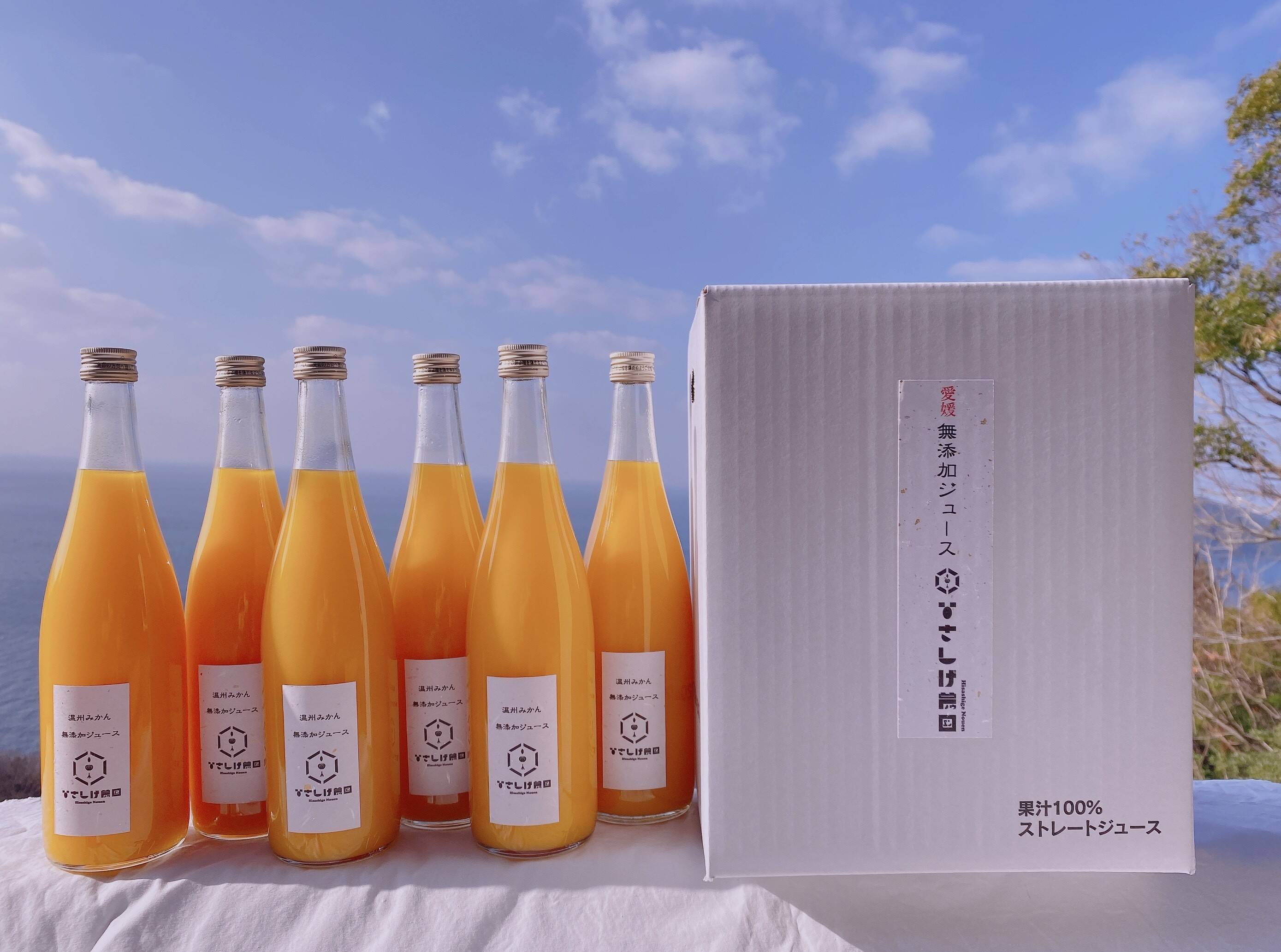 無添加】温州みかんジュース（720ml）6本入り：愛媛県産のフルーツ