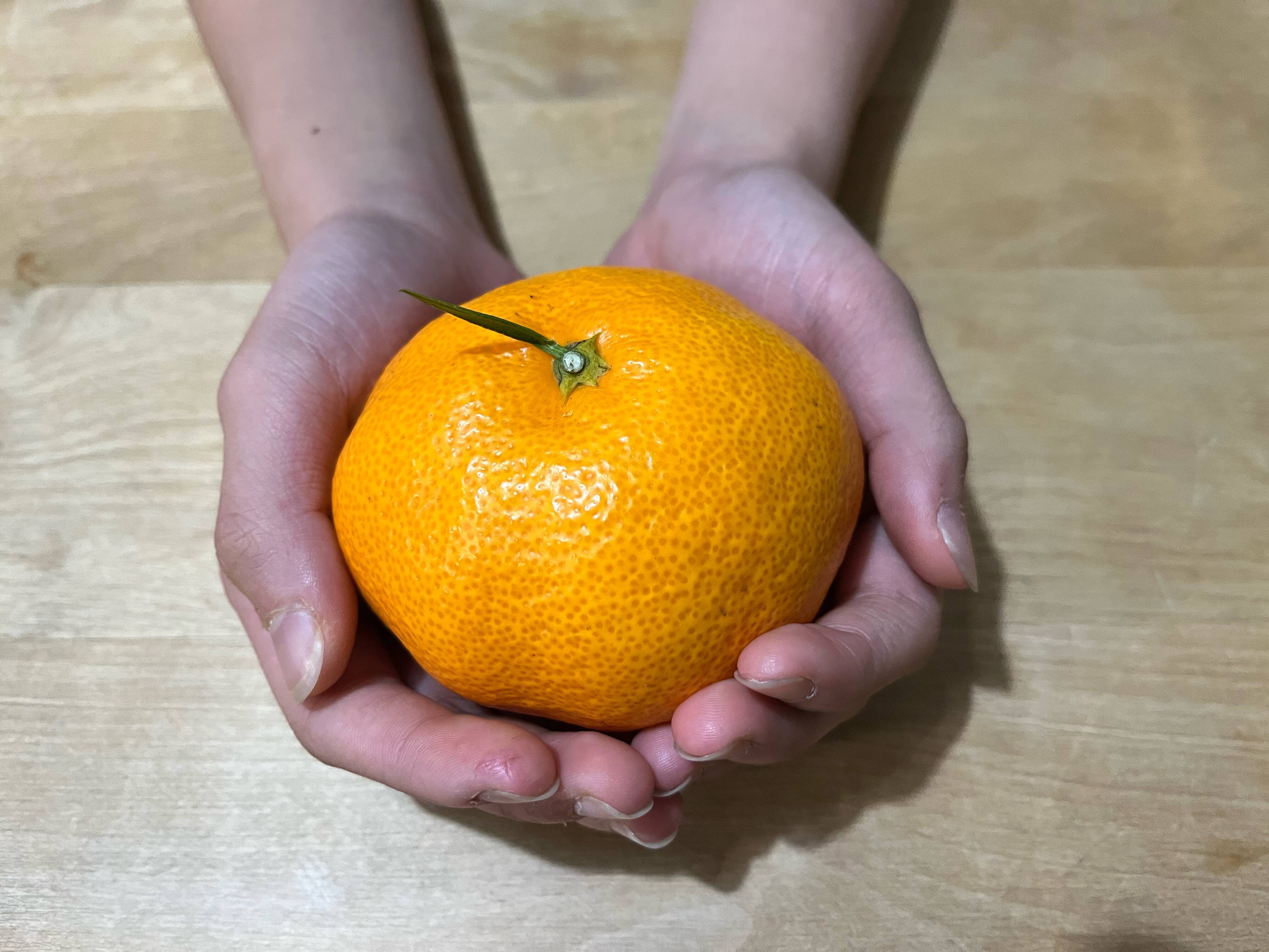 大玉5キロ箱満杯】特別栽培で育てたからだにやさしい 有田みかん