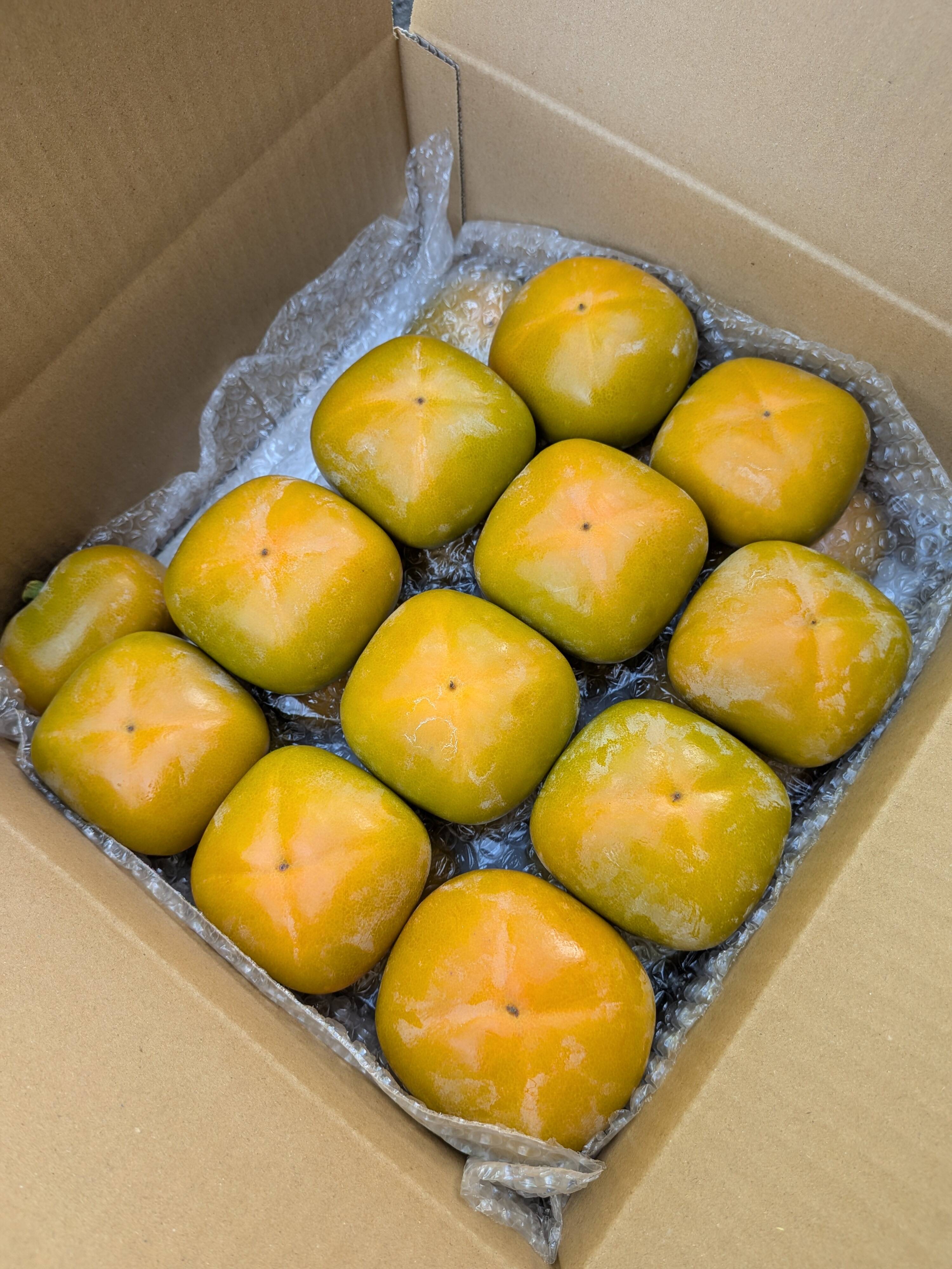ちょっと贅沢な和歌山の旬、送料500円引き】和歌山県 A品 たね無し柿