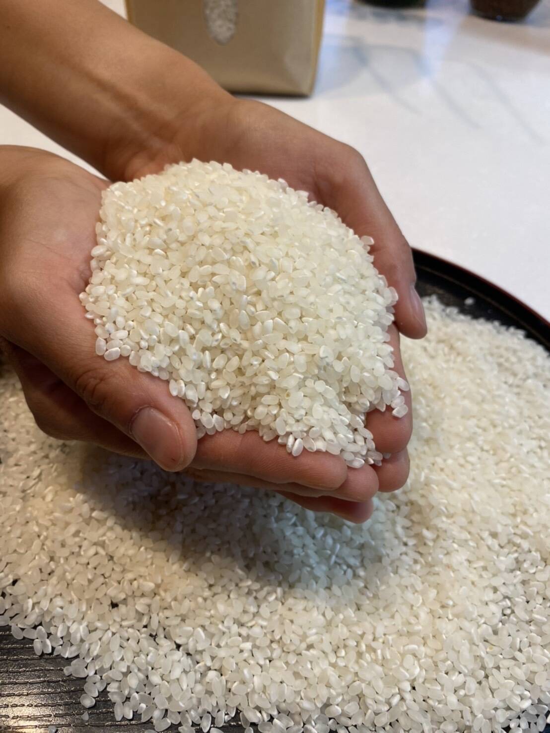 令和5年産 新米 近江米 コシヒカリ玄米 25kg - 米