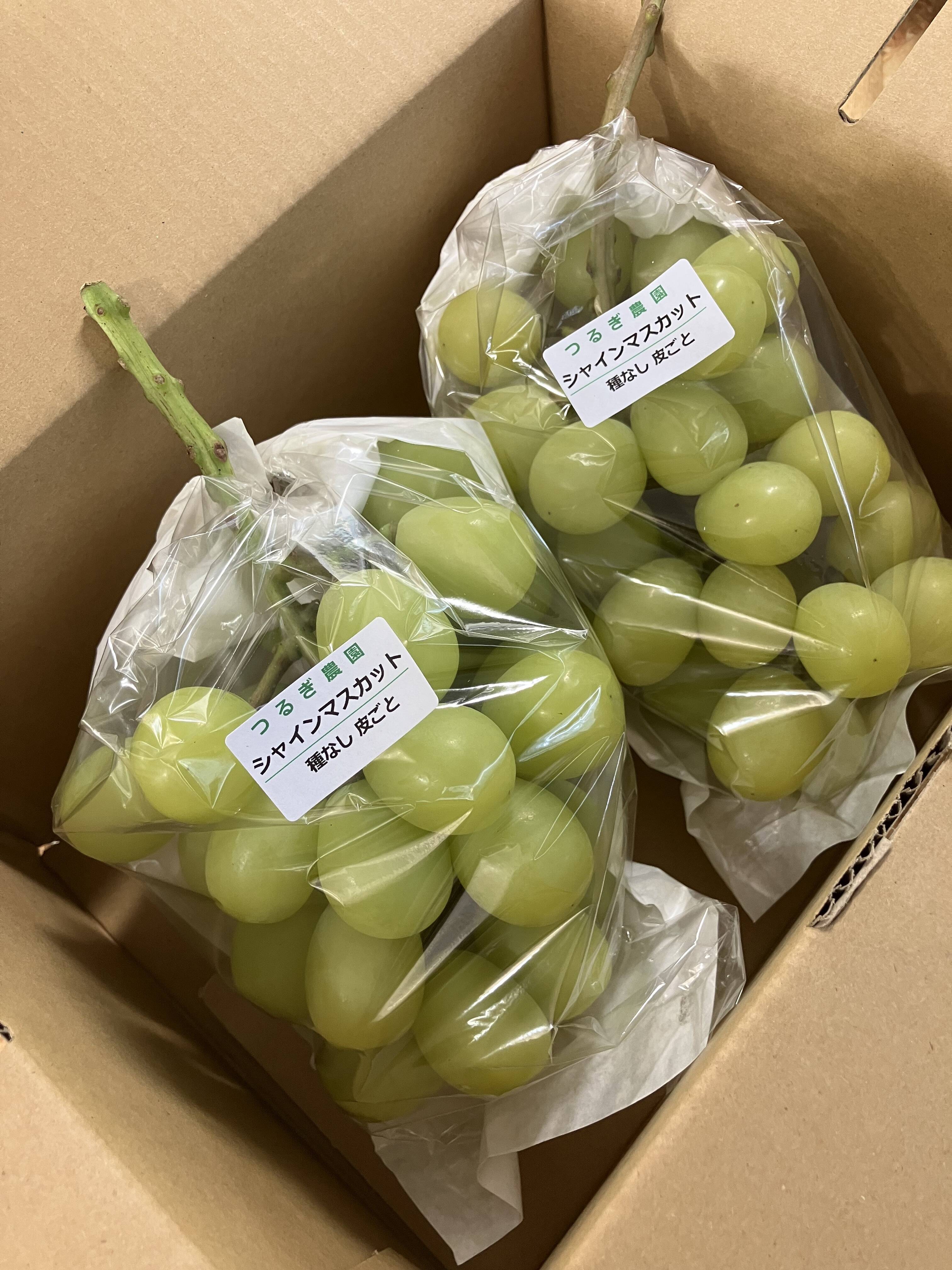 8c1a1e4041763ce2e82a39ea0ec751