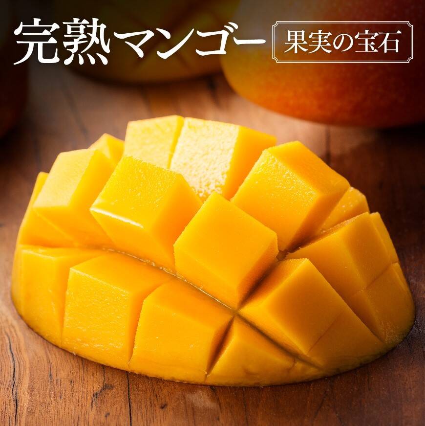 果汁たっぷり！糖度15度超えの太陽マンゴー(3Lサイズ2玉で900g