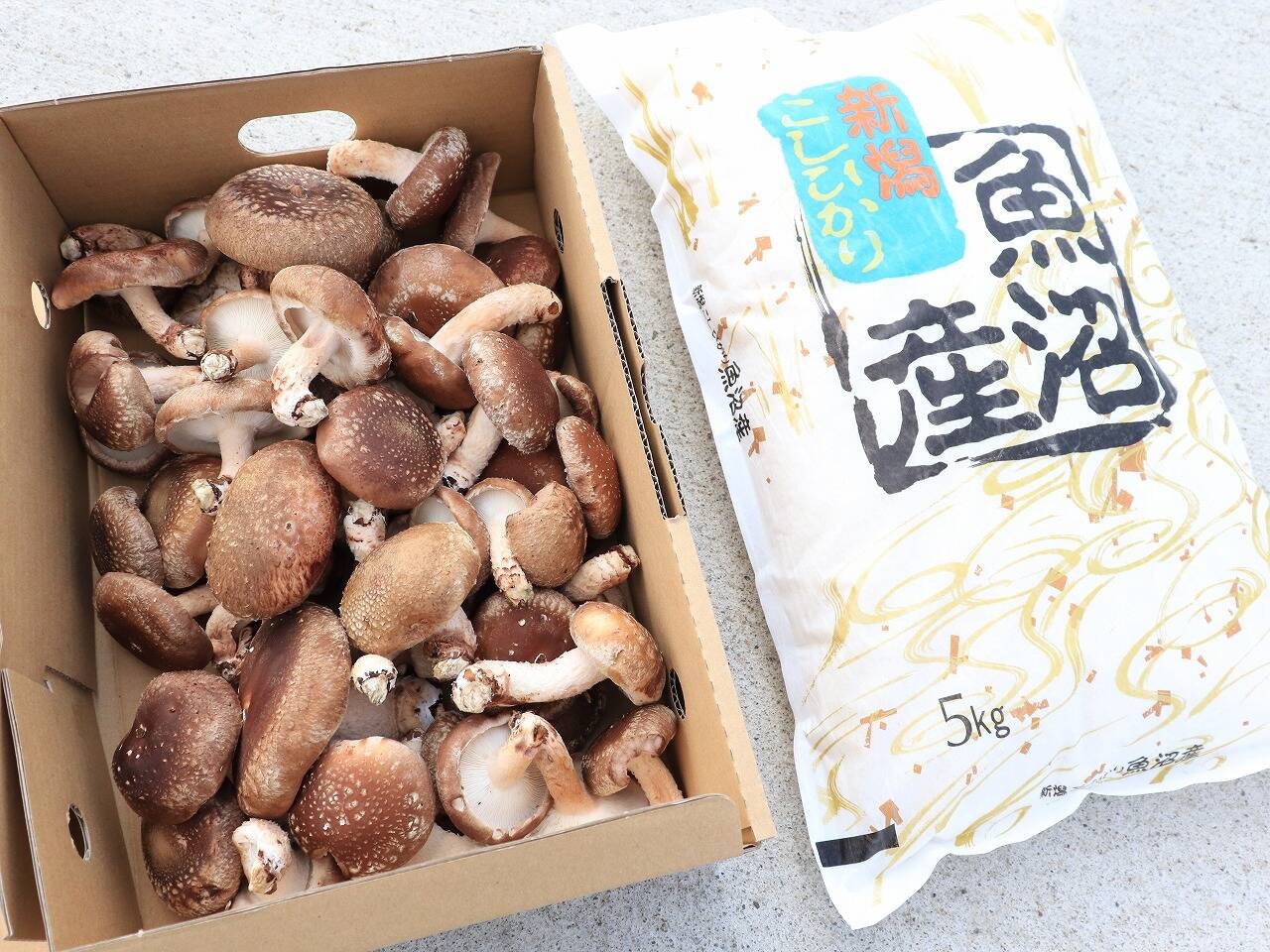 南魚沼産コシヒカリ5㎏/ちょいワル椎茸1㎏のセット：新潟県産のお米