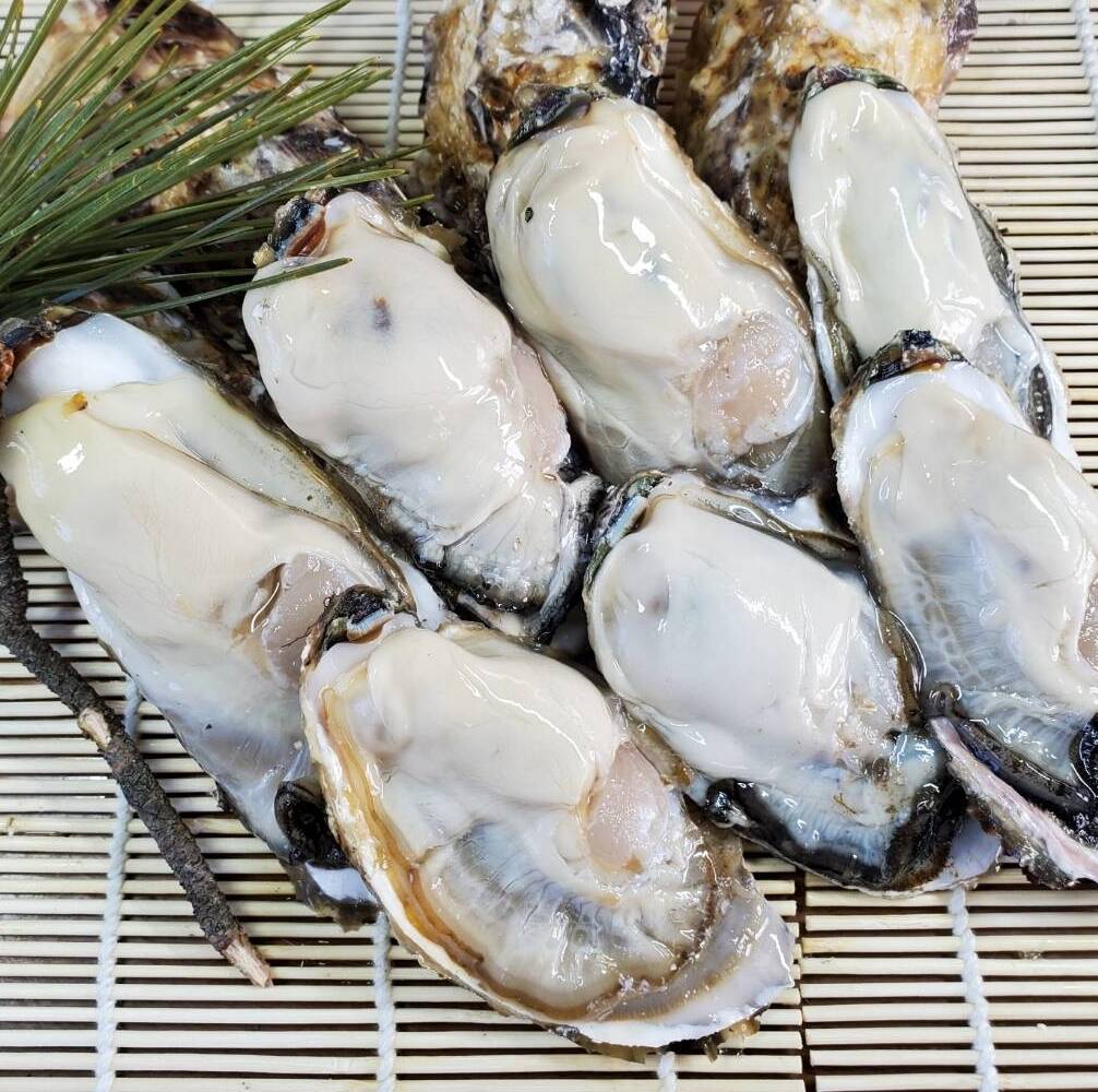 生むき 牡蠣 500g(約13-20個) 国内産 牡蠣 かき カキ 牡蛎 (約3-5人前) 加熱用 大人気 高品質 剥きかき