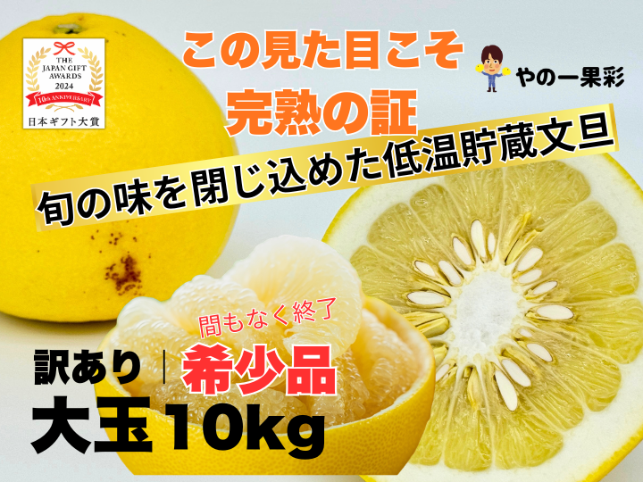 完熟の証】低温貯蔵 土佐文旦 訳あり大玉10kg｜風味が際立つ食べ頃