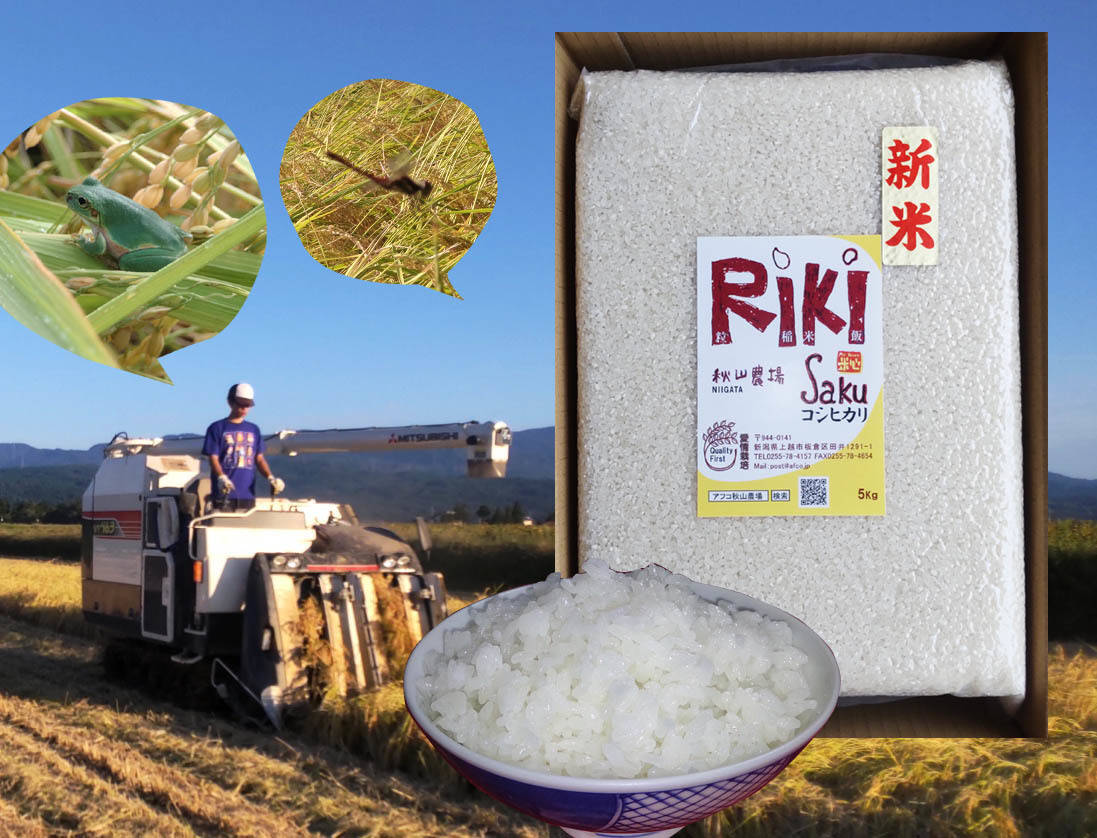 真空パック・R4新潟コシヒカリ特別栽培米　真空パックと保湿米袋入5キロ2個18