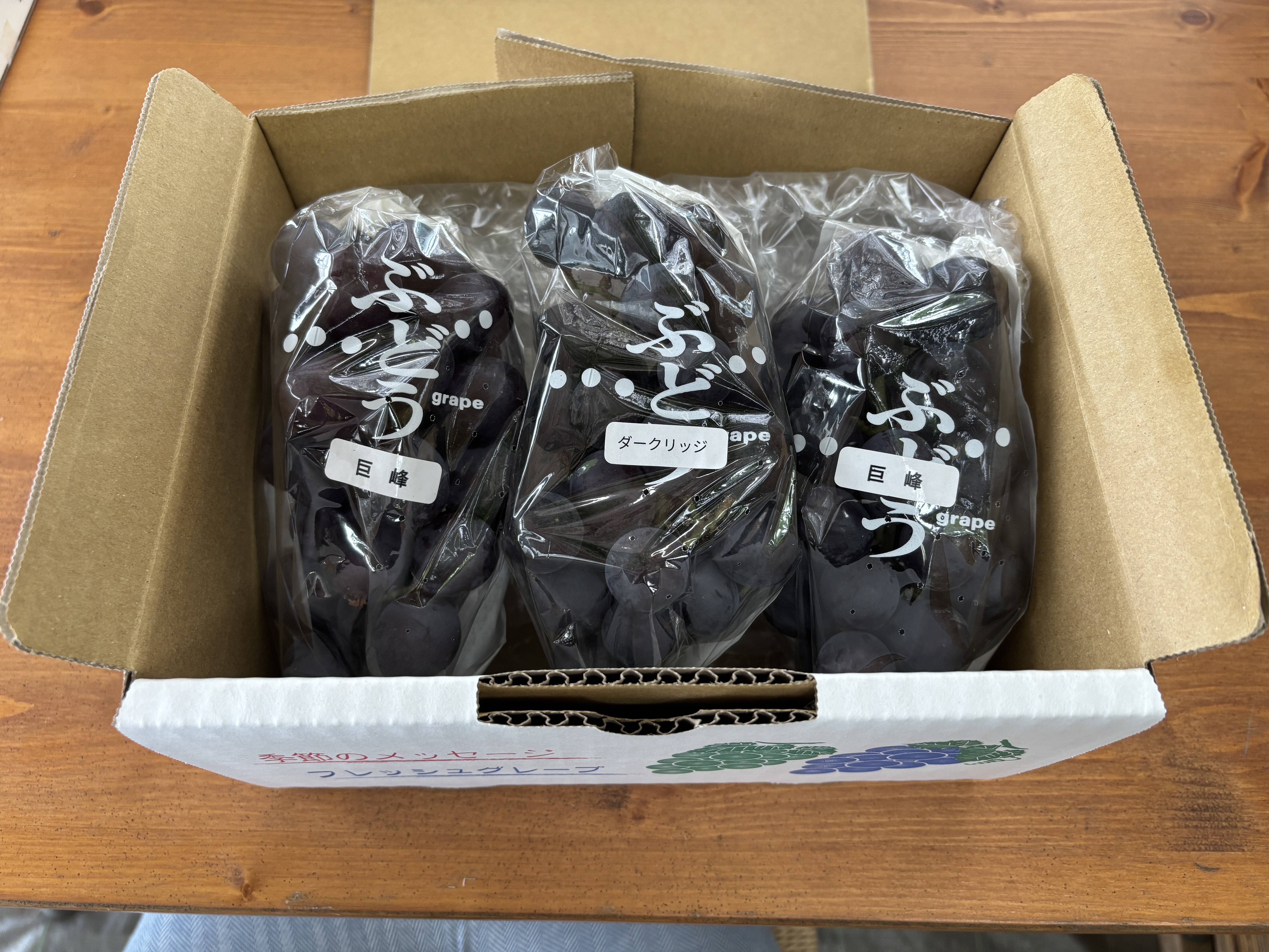 数量限定】農薬不使用・化学肥料不使用！樹上完熟ぶどうの詰め合わせ