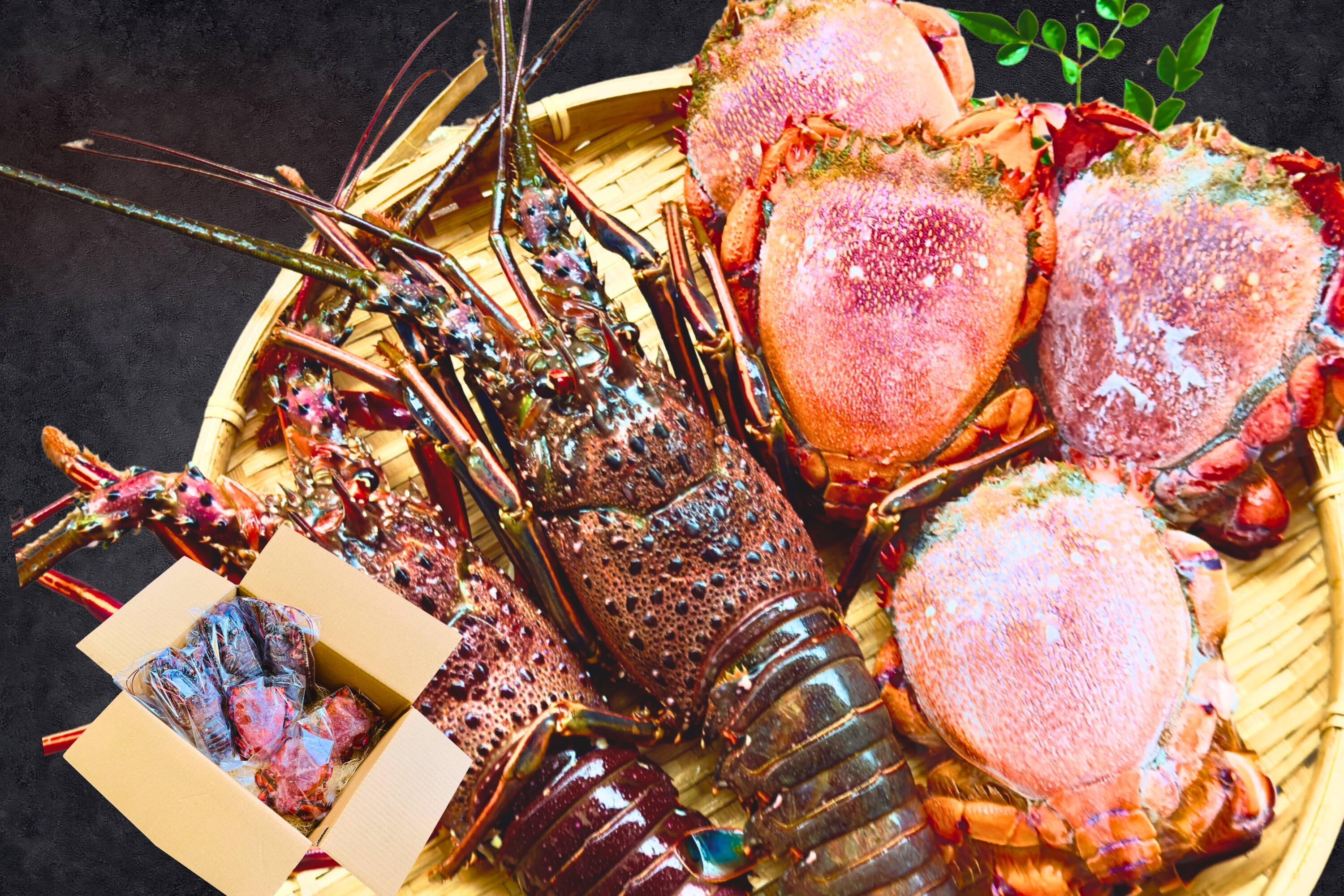 食べ比べ】宮崎産 冷凍伊勢エビ×アサヒガニセット｜合計1kgセット