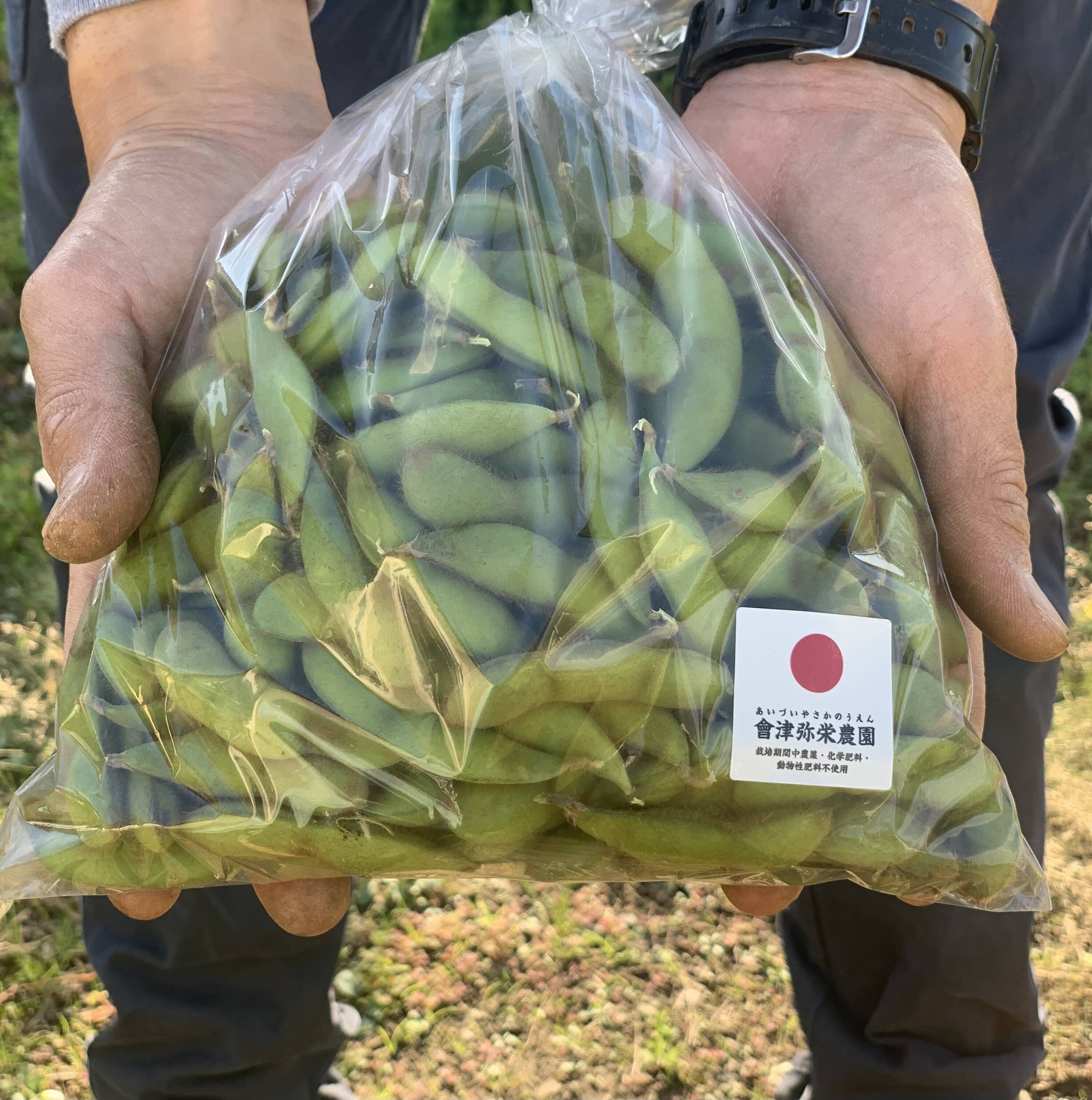 期間限定】甘い！自然栽培枝豆『音更大袖振大豆』（500g×3p）：福島県