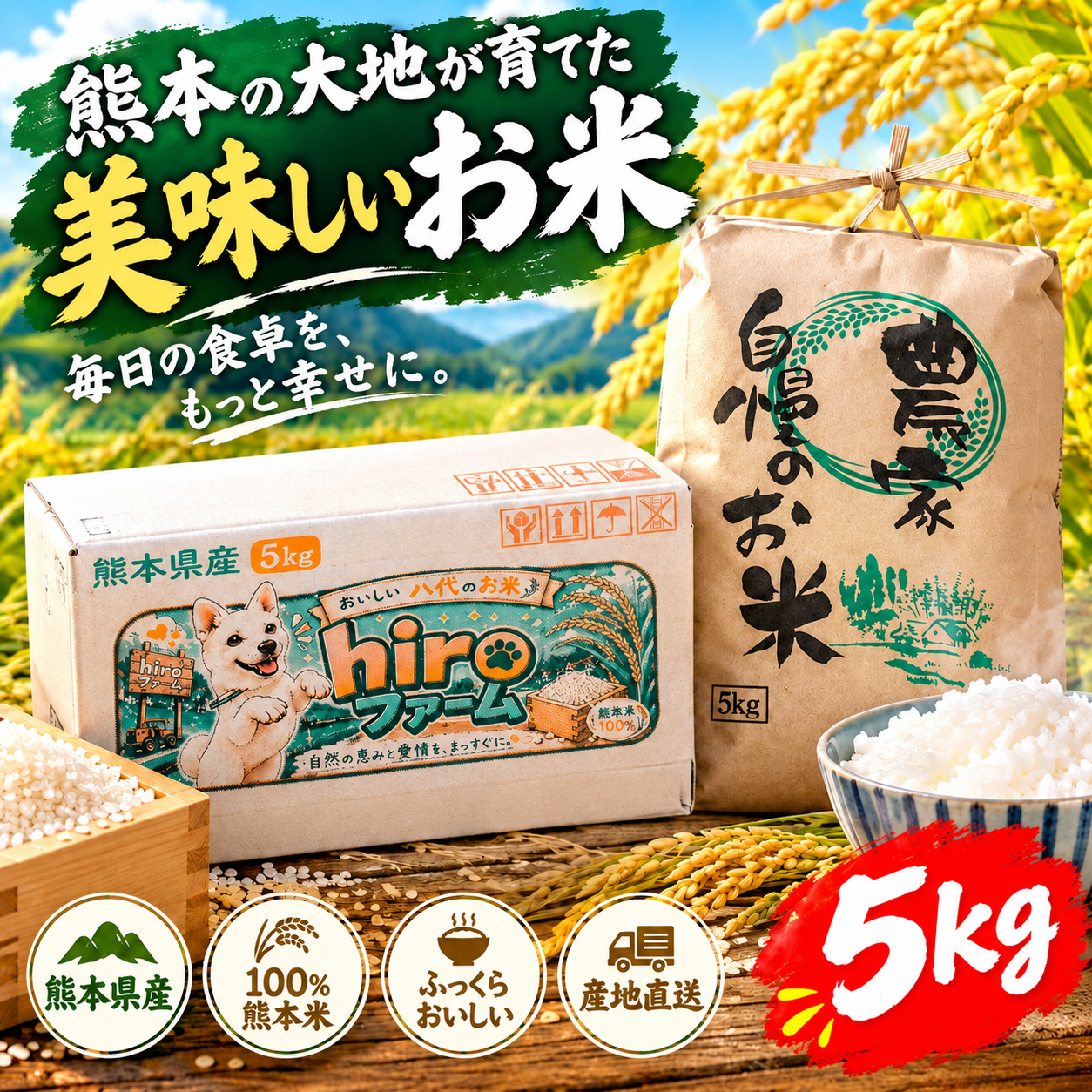 新米 白米 5kg 無洗米 キヌヒカリ 熊本県産 食べチョクアワード受賞 令