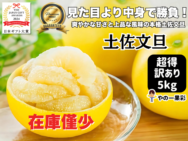 文旦 訳あり アウトレット品 柑橘 04 - メルカリ