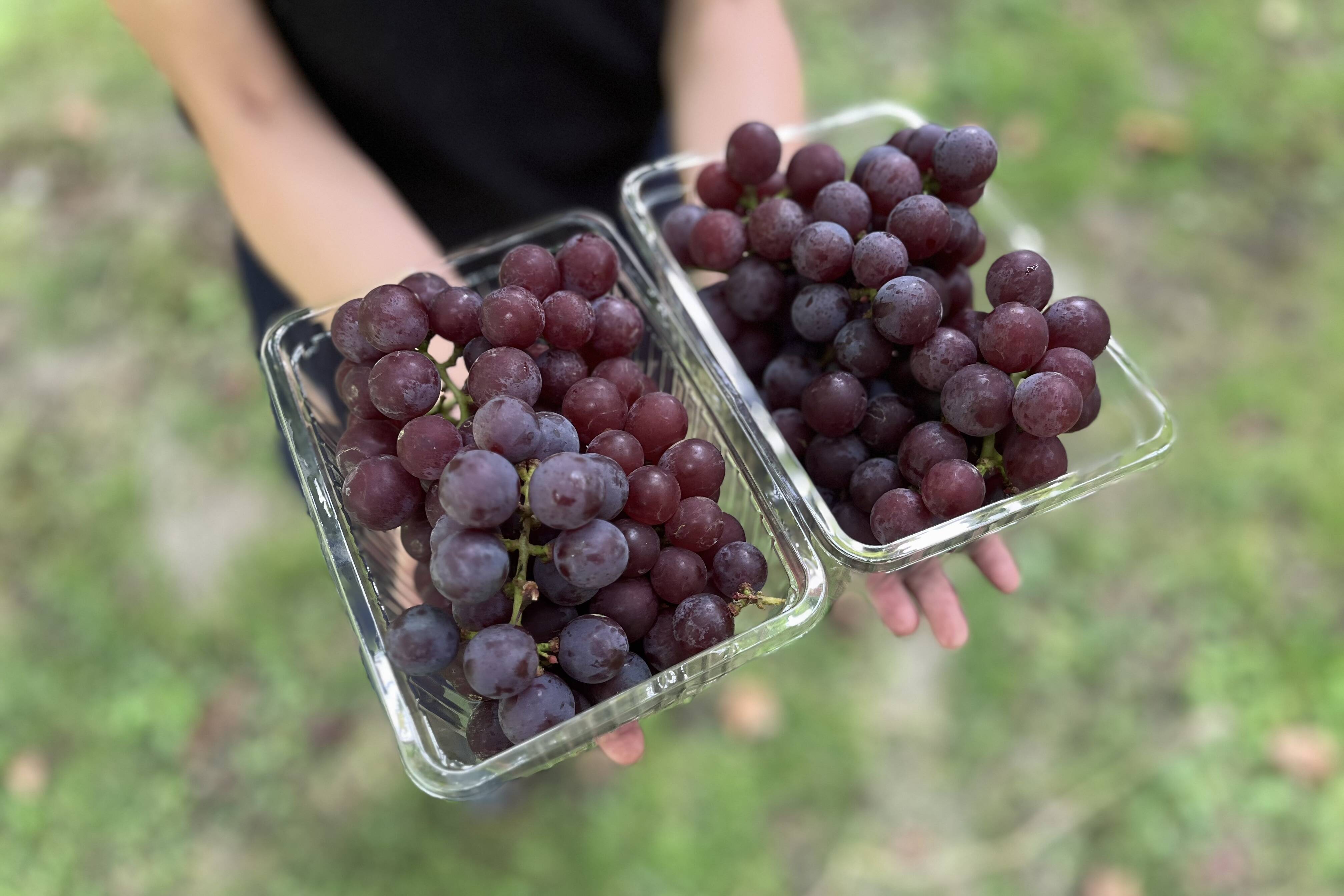 8d7a88e29a304b59678ef50e01db44