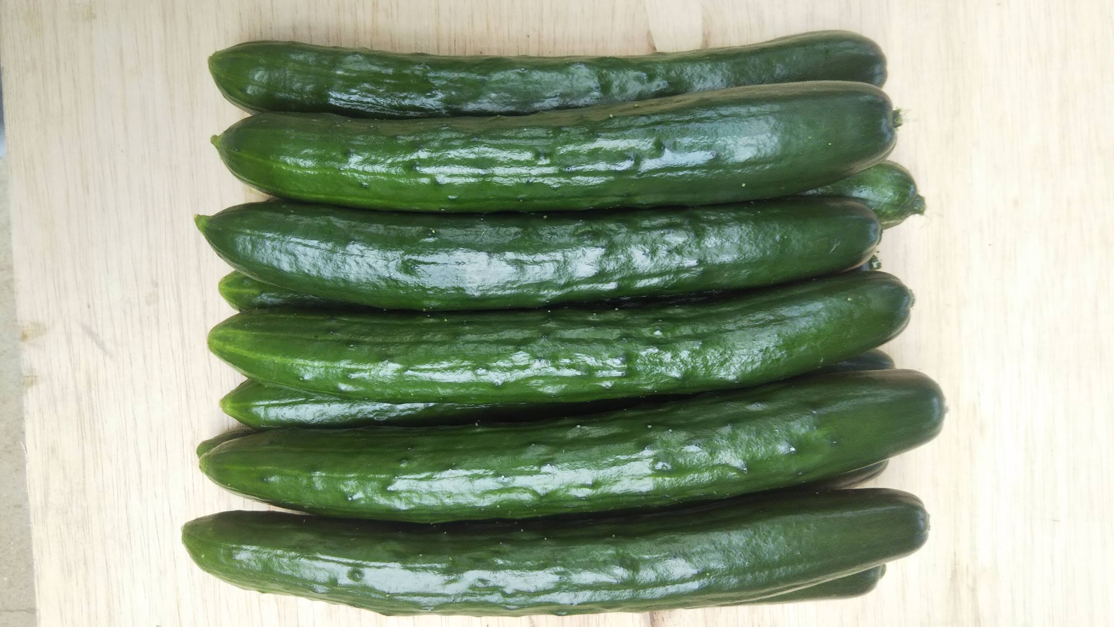まぁさん専用サイト 「2000円旬野菜セット＋きゅうり1Kgを2