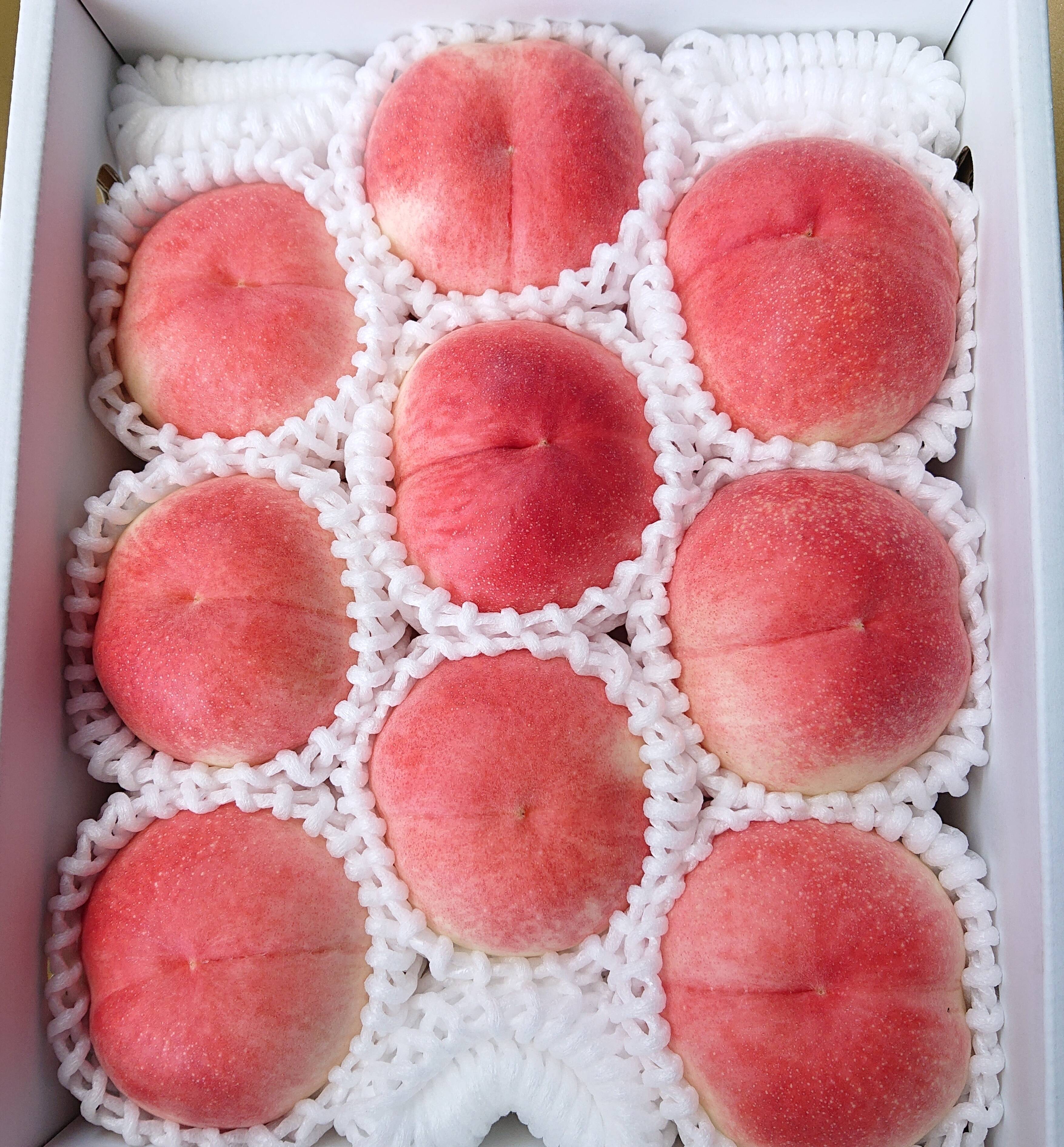 あら川の桃【硬い桃】桃夭 小箱(1.7kg)：和歌山県産の桃夭｜食べ