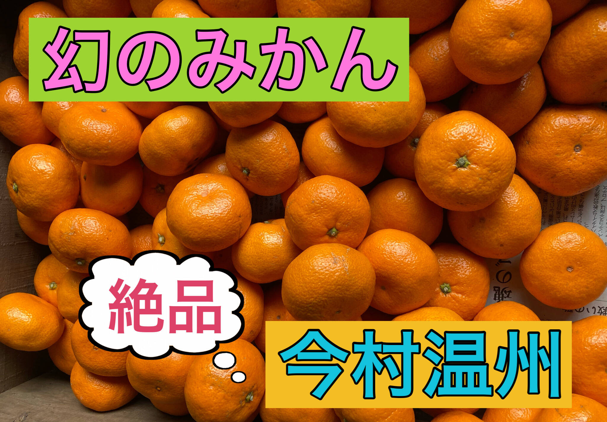 みかん 幻のみかん・濃厚】 熟成！蔵出し！糖度15度以上 今村みかん 3kg
