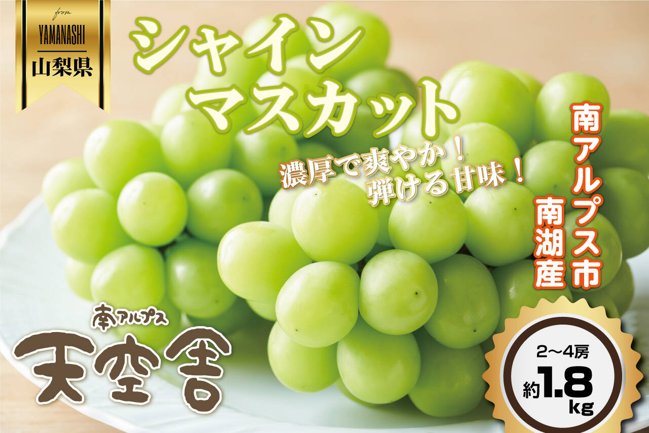 ④5キロ　9房　シャインマスカット　山梨県産 楽天市場】やまなしシャインマスカット 大箱5kg7〜9房☆個数