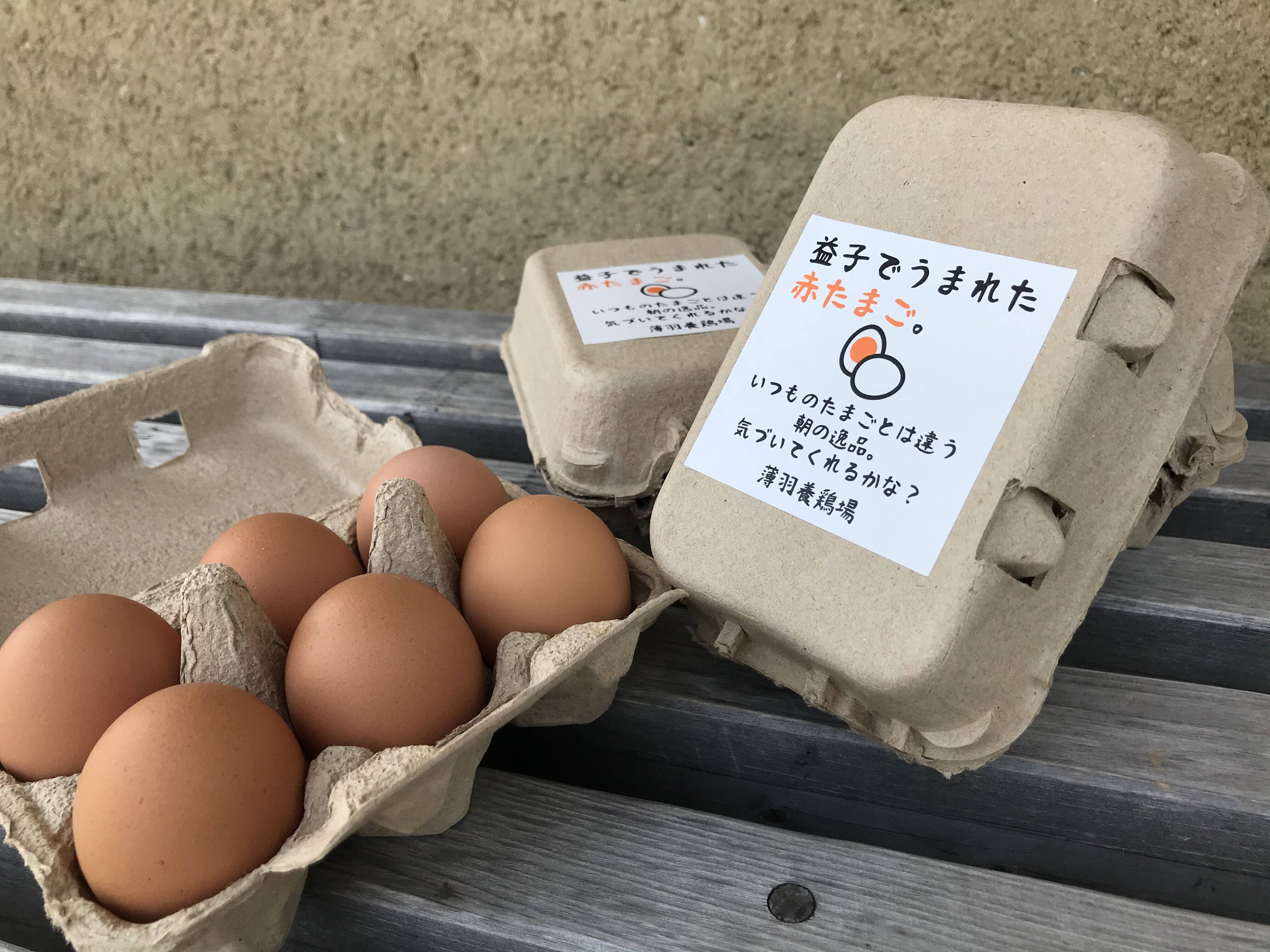 遊牧するにわとり達のたまご 洗った卵 72個 Nomadic Eggs