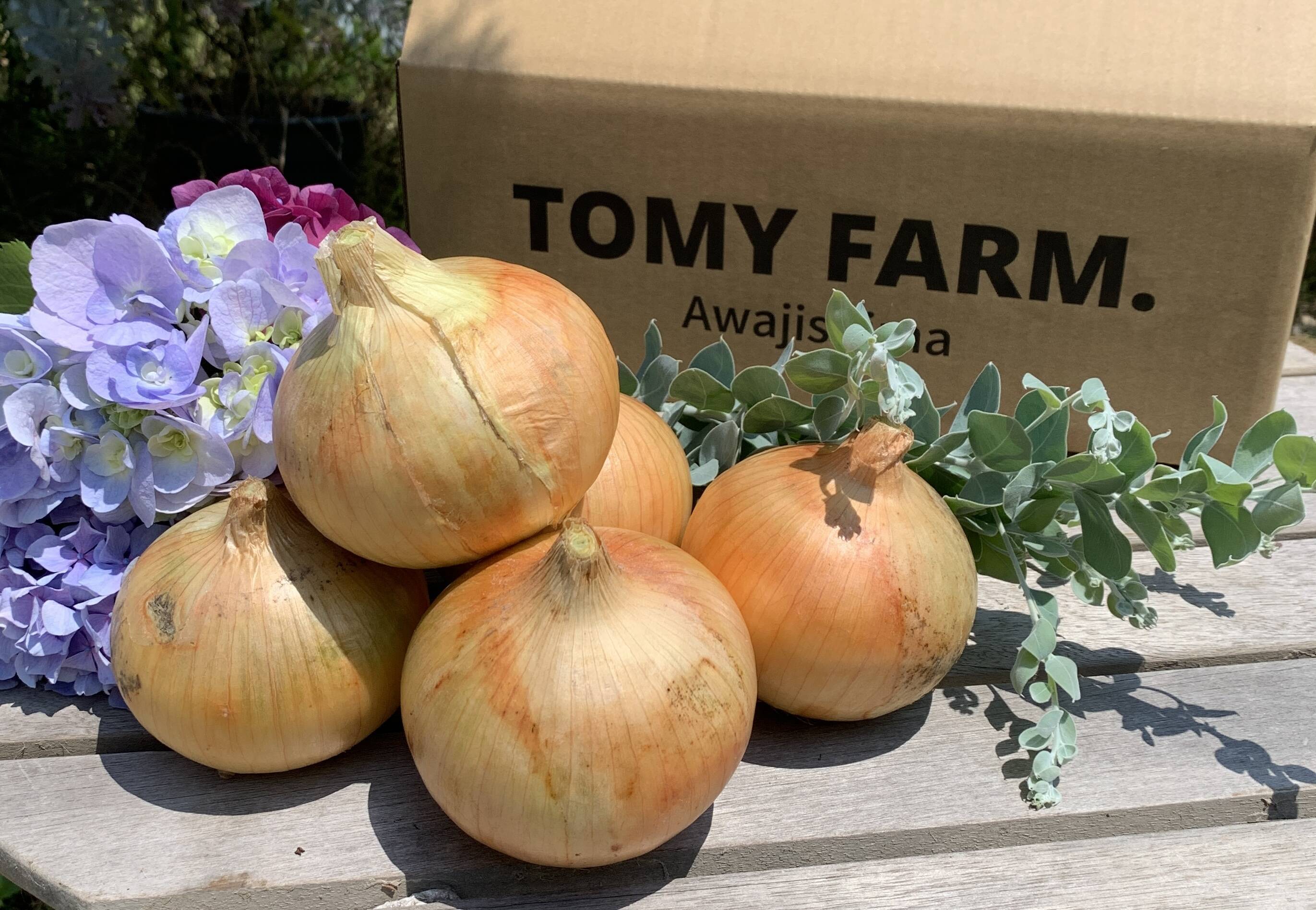 アンサー タマネギ 種子 七宝 100g 1缶 アンサー タマネギ 種子 七宝 100g 1缶 熟成✨淡路島産玉ねぎ 10