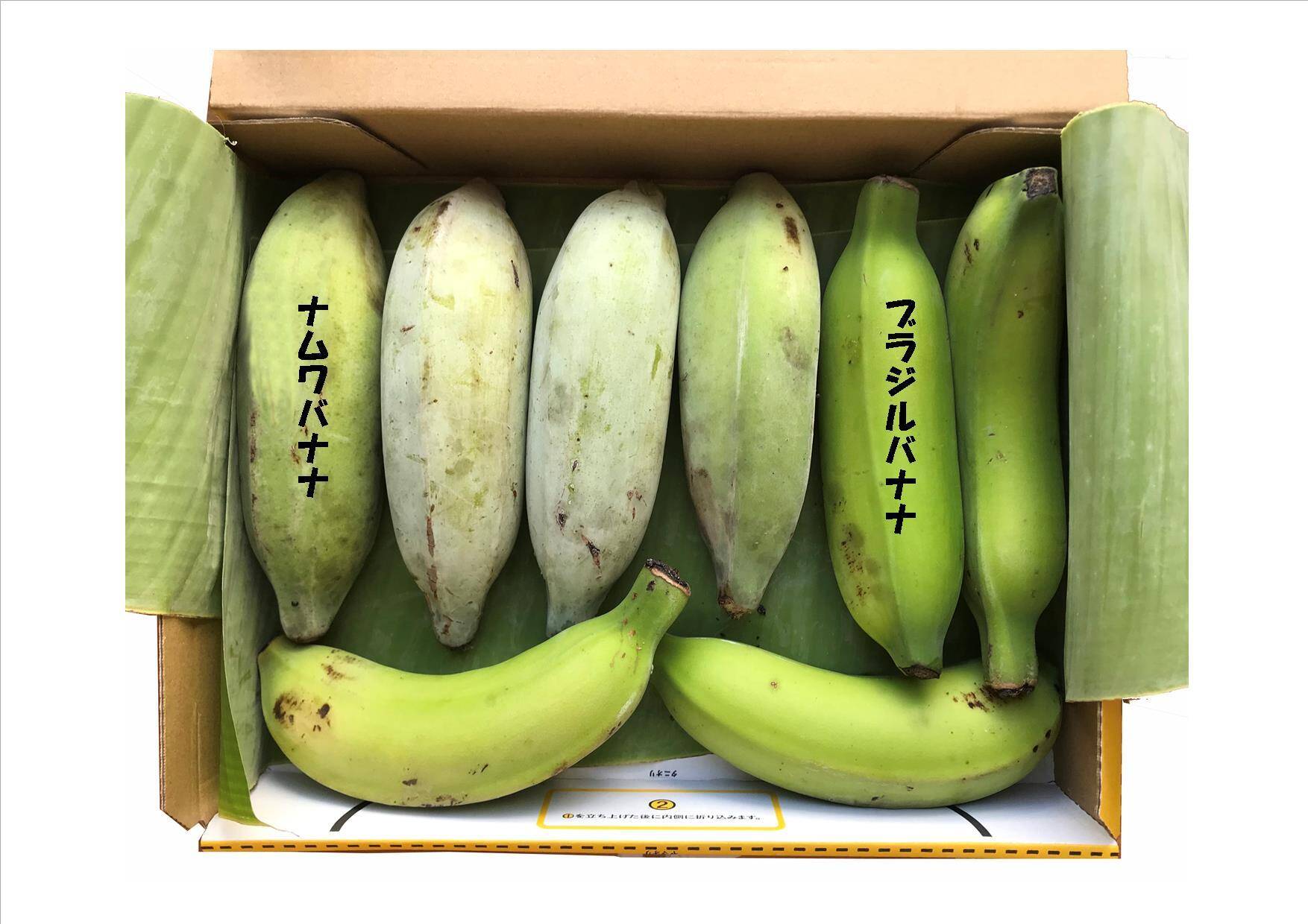 【特別価格！】大人気！ブラジルバナナ＆ナムワバナナ計１kg