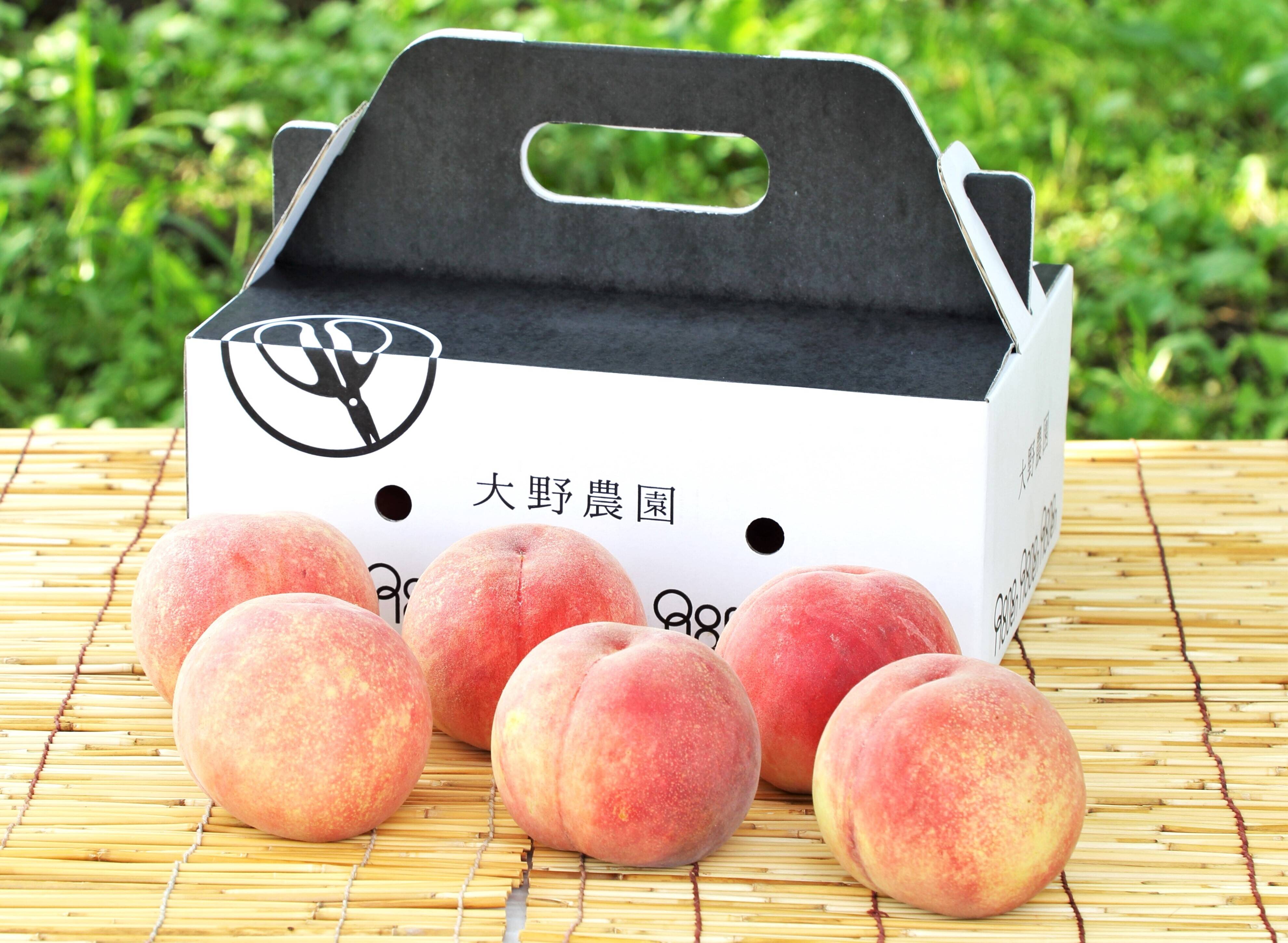 桃：夏かんろ・2kg程度】甘さと食味が一級品の早生品種：福島県産の夏