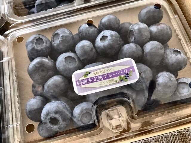 大粒】【完熟】【農薬不使用】フレッシュブルーベリー (1kg)：静岡県産