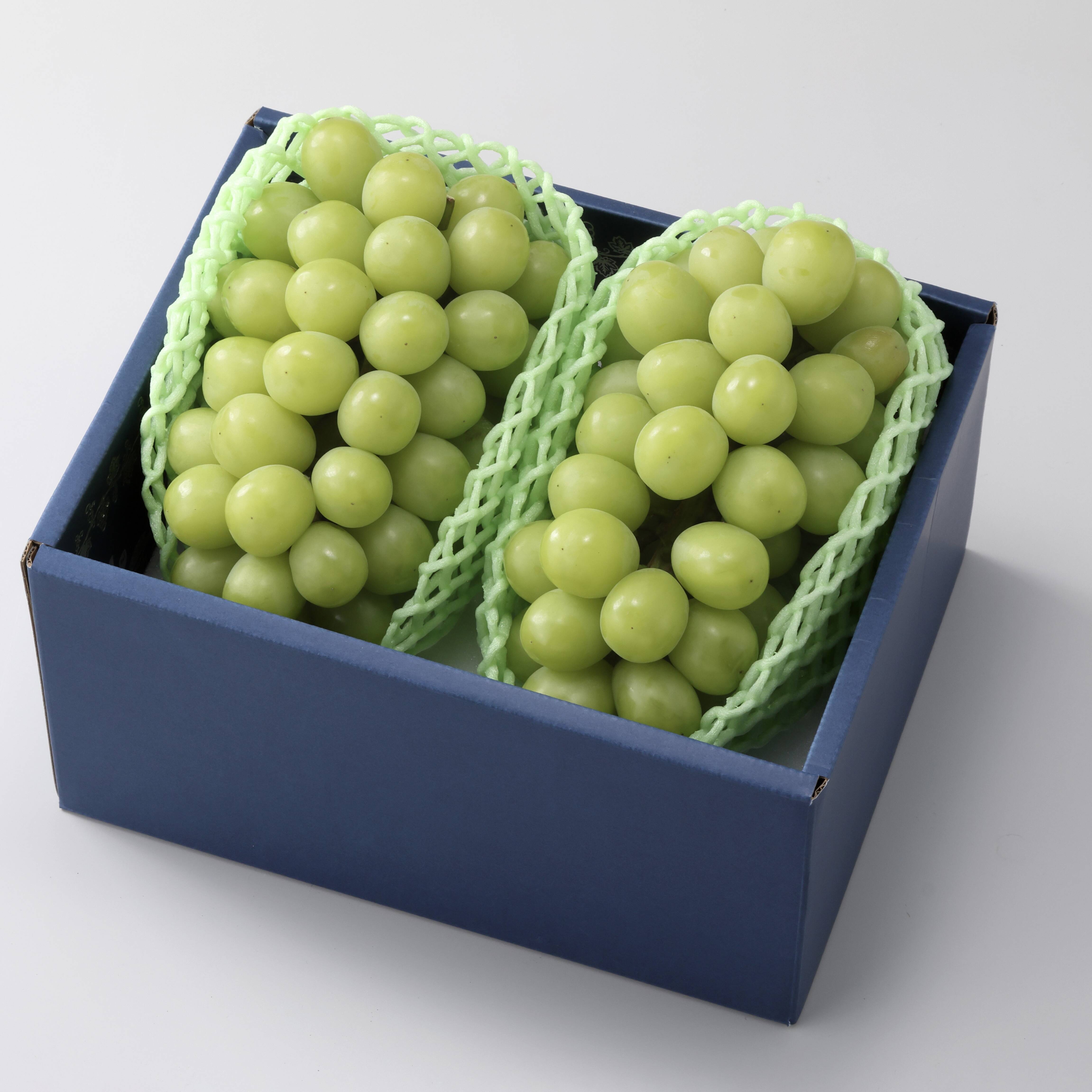 華-HANA-】シャインマスカット 2房 約1.0kg｜糖度約20度｜日常にも