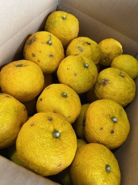 8f5817c043a070d5d09198c7a595dc