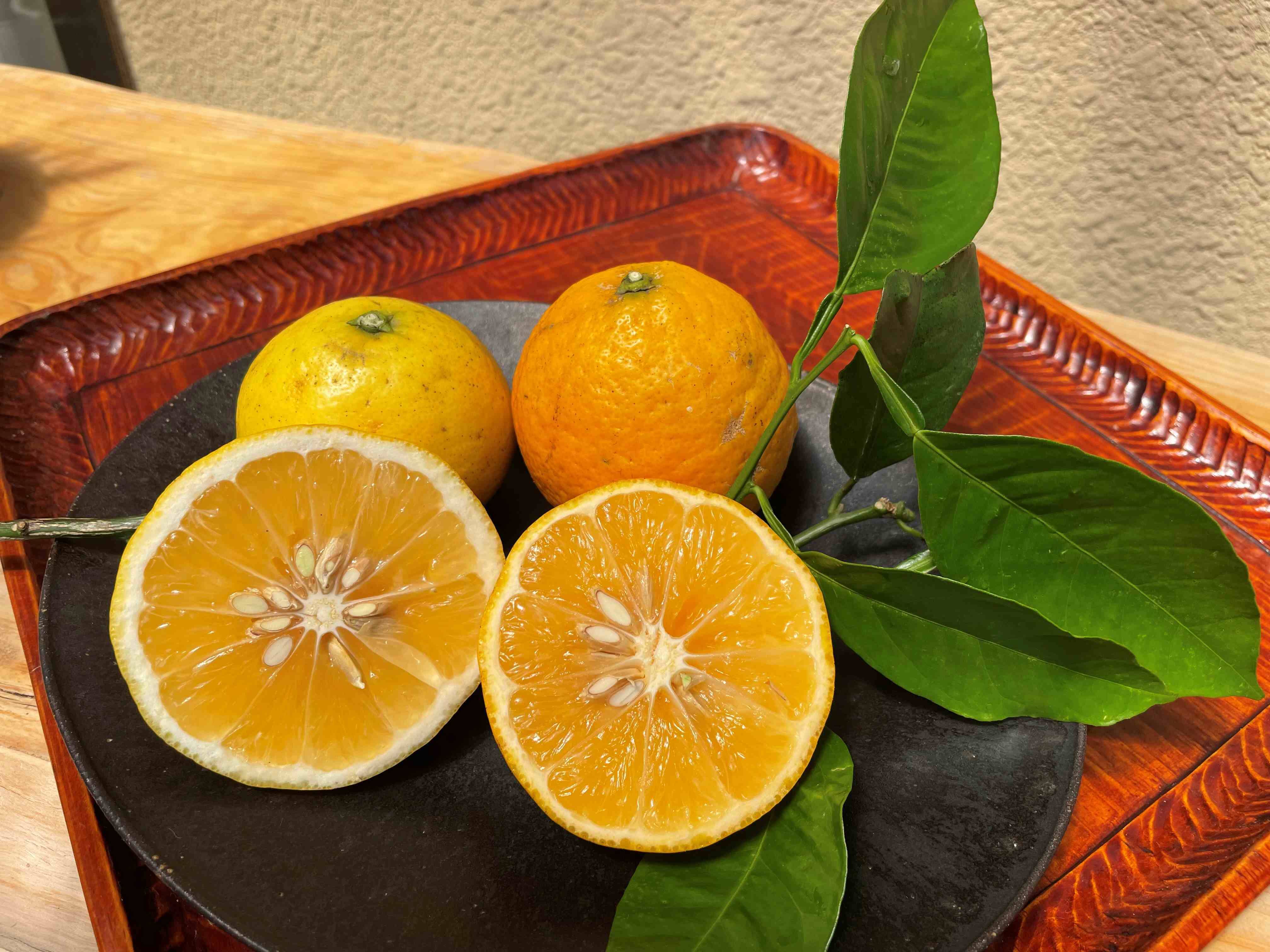 甘い白ワタと果肉で独自の風味を味わえる黄色と《希少》紅ニューサマー