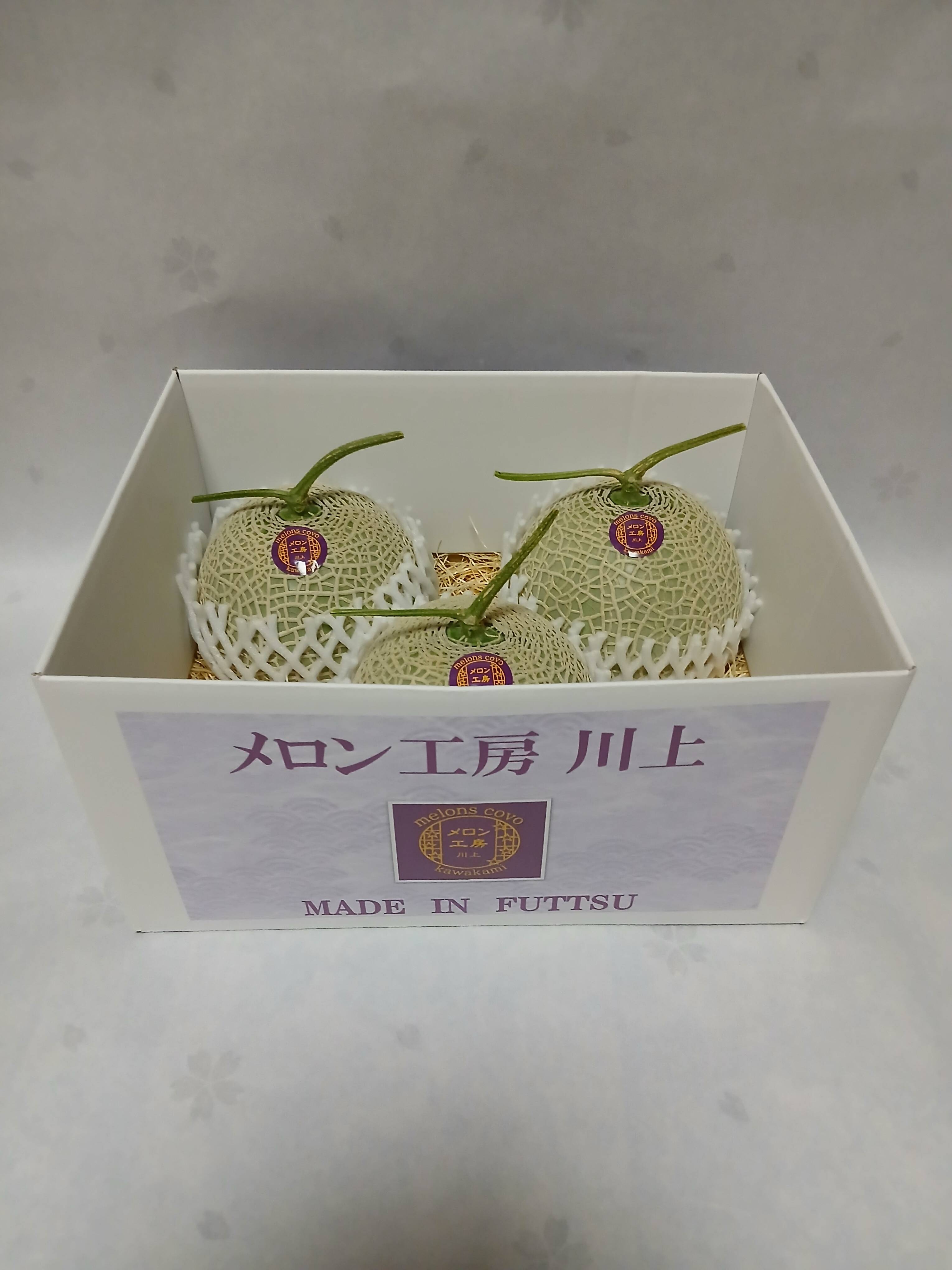 夏ギフト】高級メロン 千葉県富津市産アールスメロン 1.2～1.5kg/個 ×3