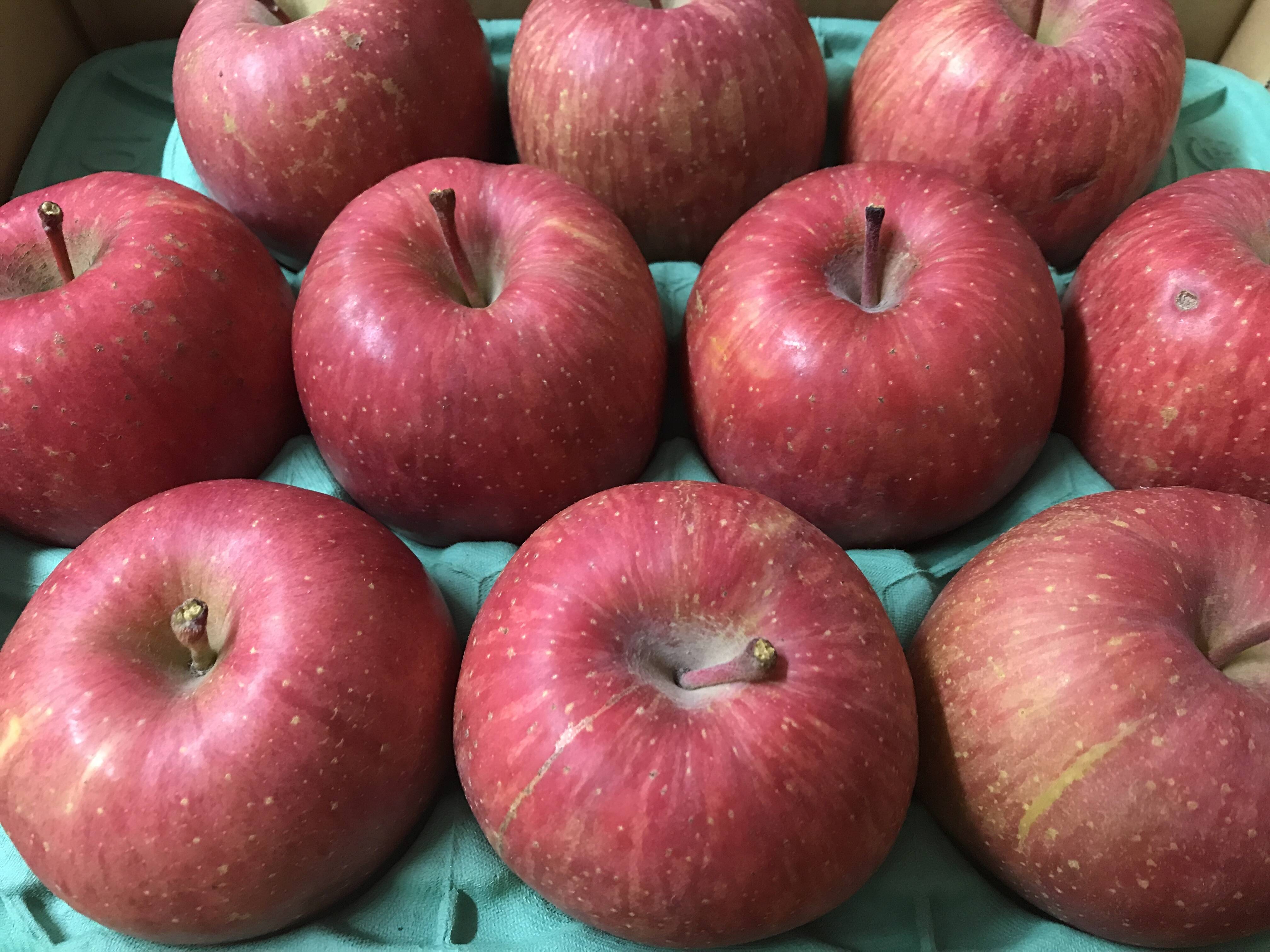 在庫僅少】 青森県産 サンふじ りんご 家庭用 約3kg 送料無料