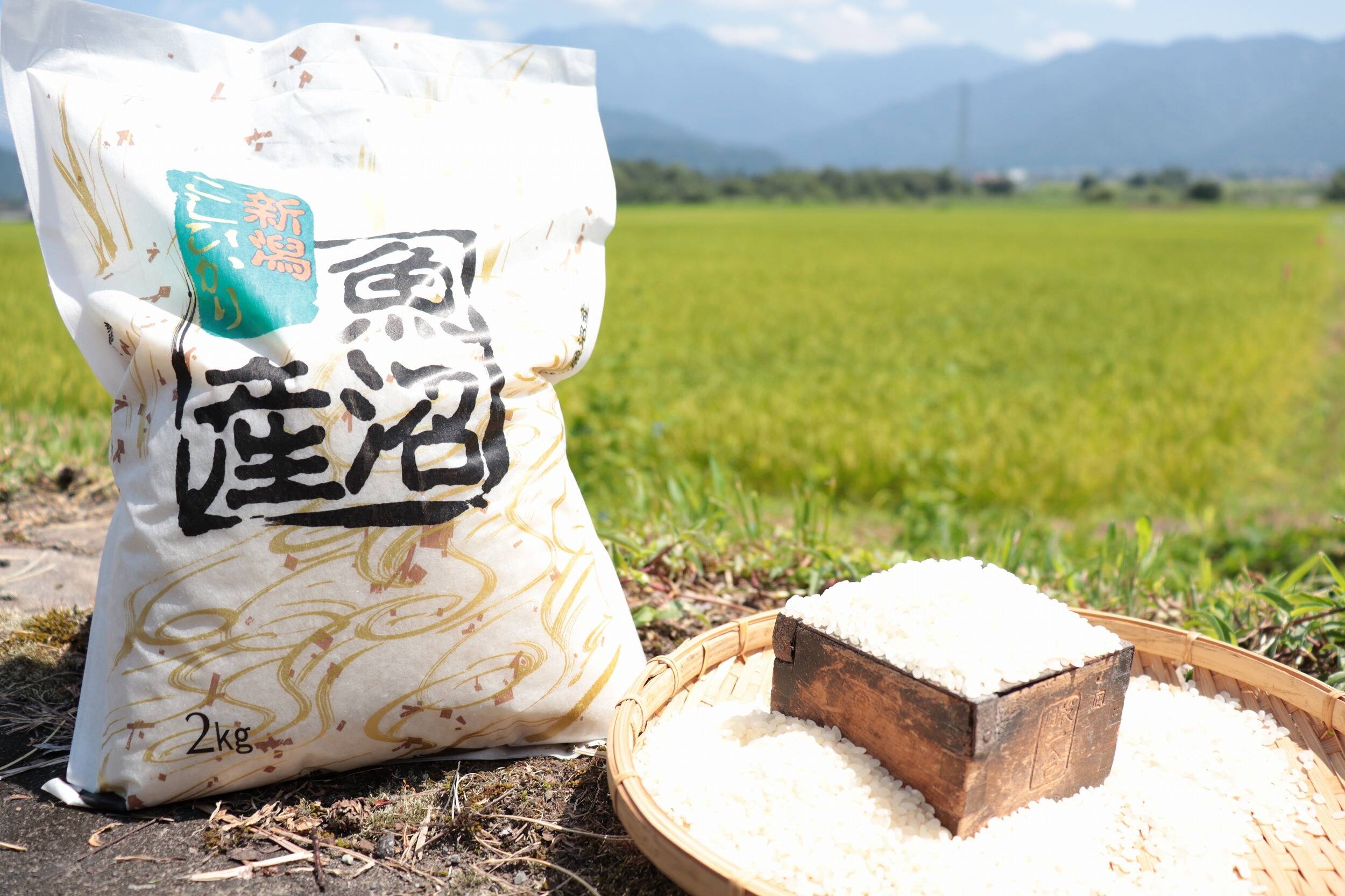 農家直売！6年産南魚沼産コシヒカリ10キロ精米 農家直売！6年産南魚沼産コシヒカリ10キロ精米