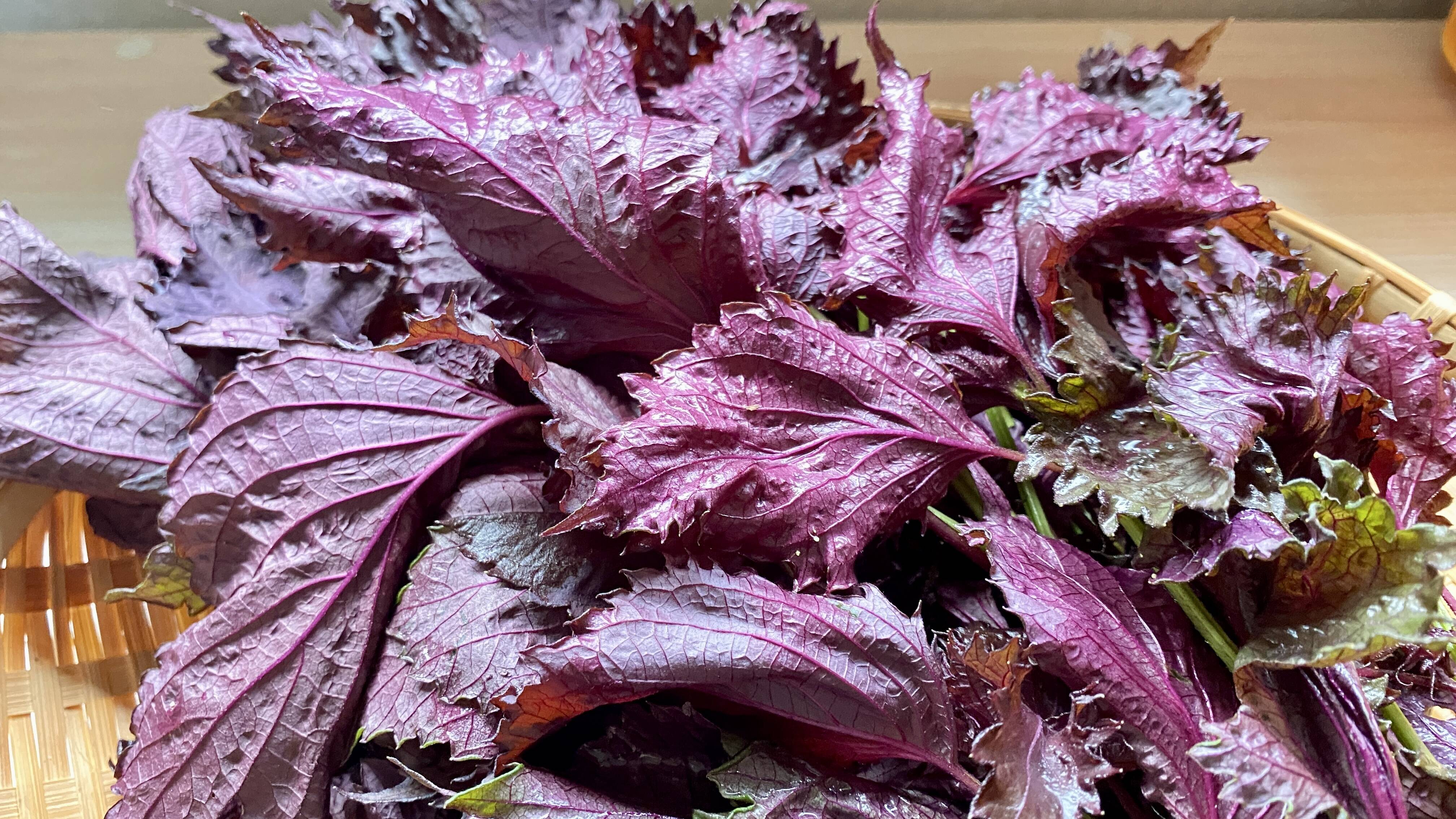 8fc7f787e399a7a51cb4072ce4a284