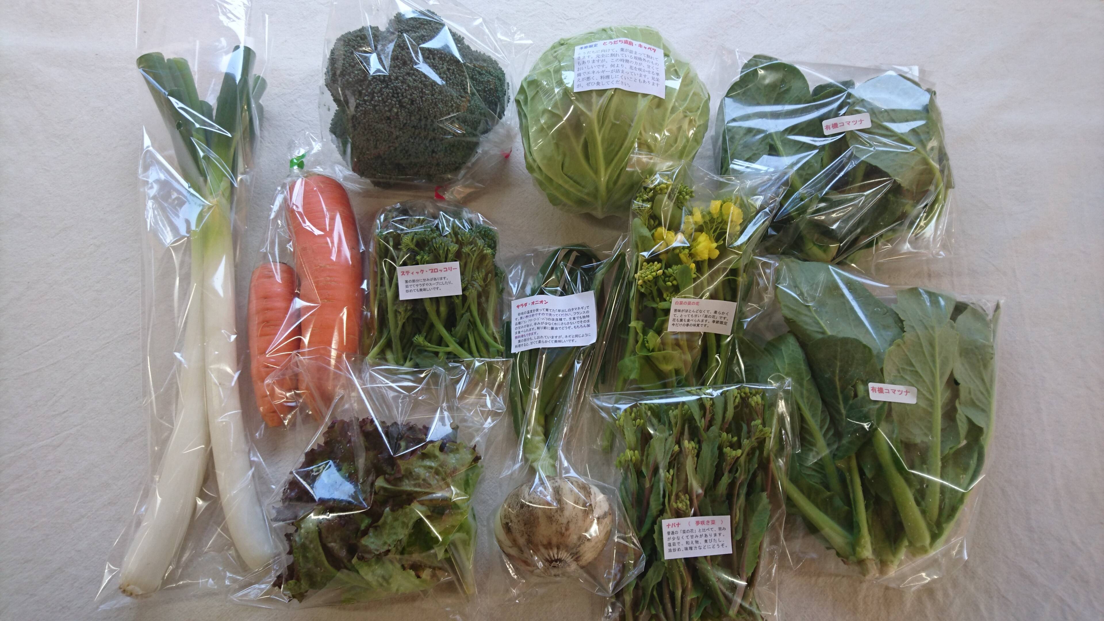 規格外野菜利用 オーガニック しあわせ野菜 シェフセット S 静岡県産 食べチョク 農家 漁師の産直ネット通販 旬の食材を生産者直送