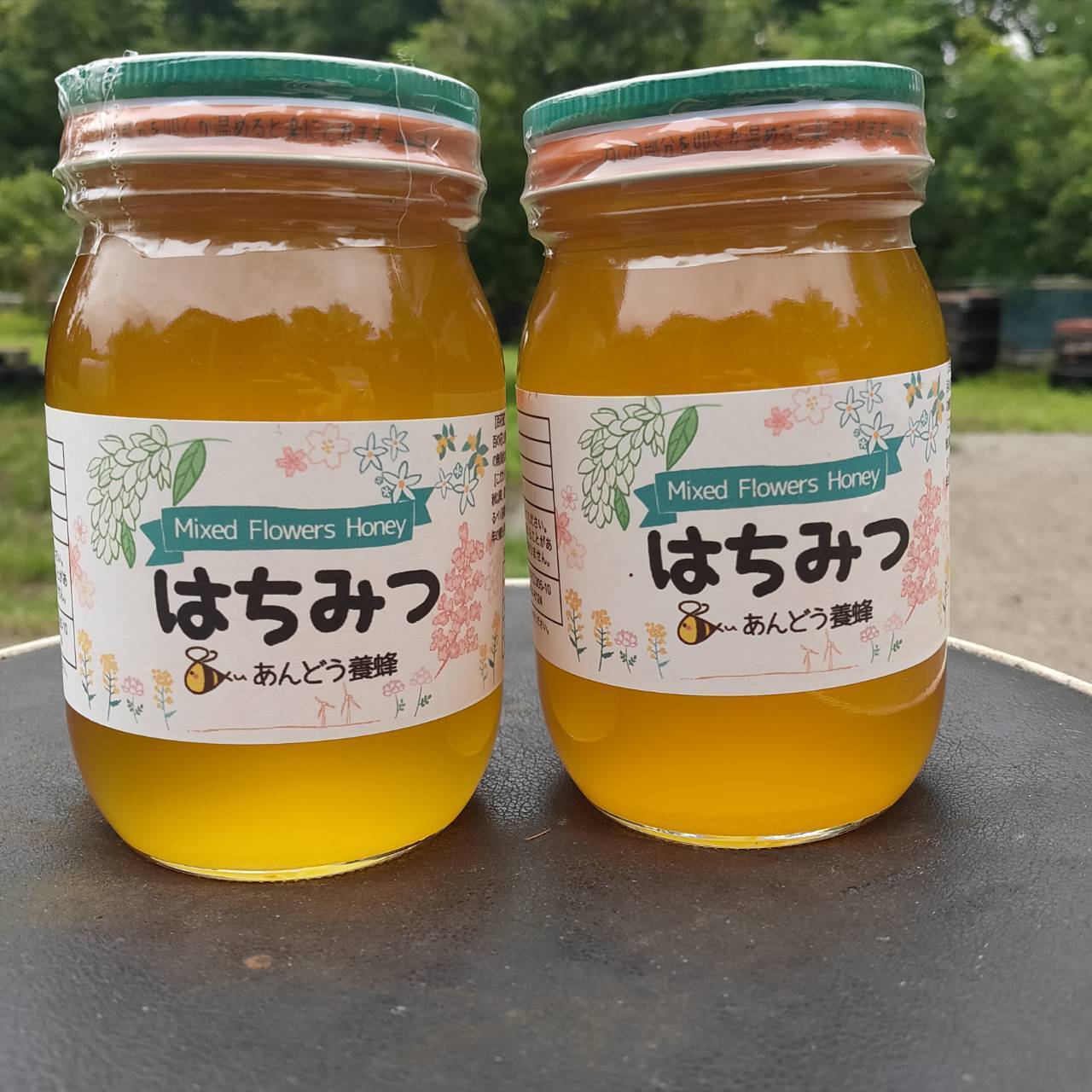 添加物なし】天然はちみつ 600g 蜂蜜 ハチミツ セイヨウミツバチ 国産：鳥取県産のはちみつ｜食べチョク｜産地直送(産直)お取り寄せ通販 -  農家・漁師から旬の食材を直送