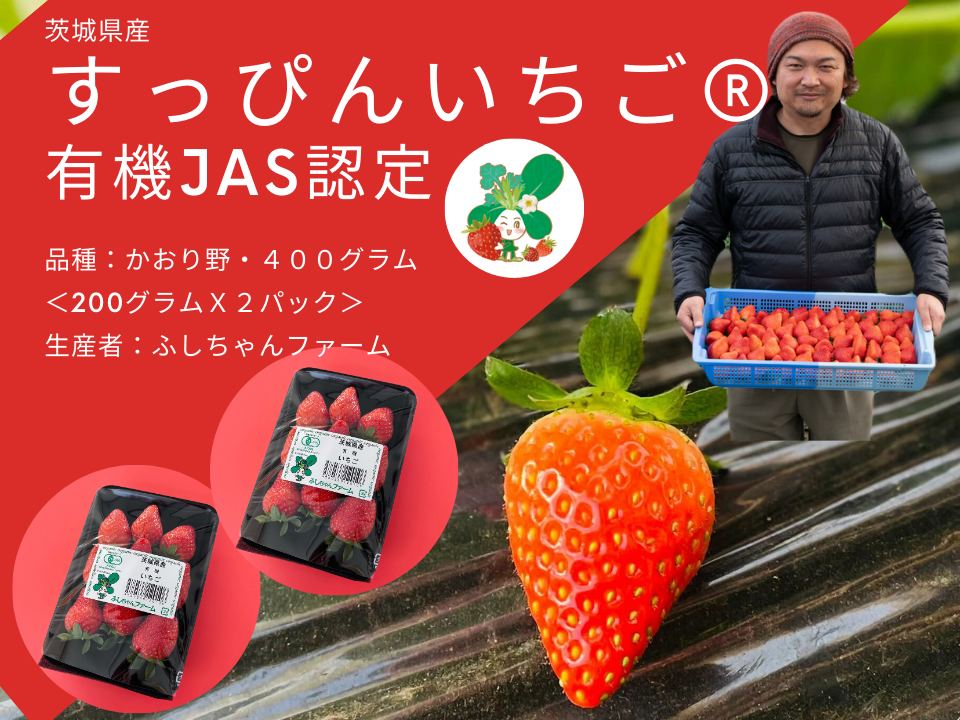 有機JAS認定 茨城県産有機いちご（かおり野 200gx2パック）：茨城県産