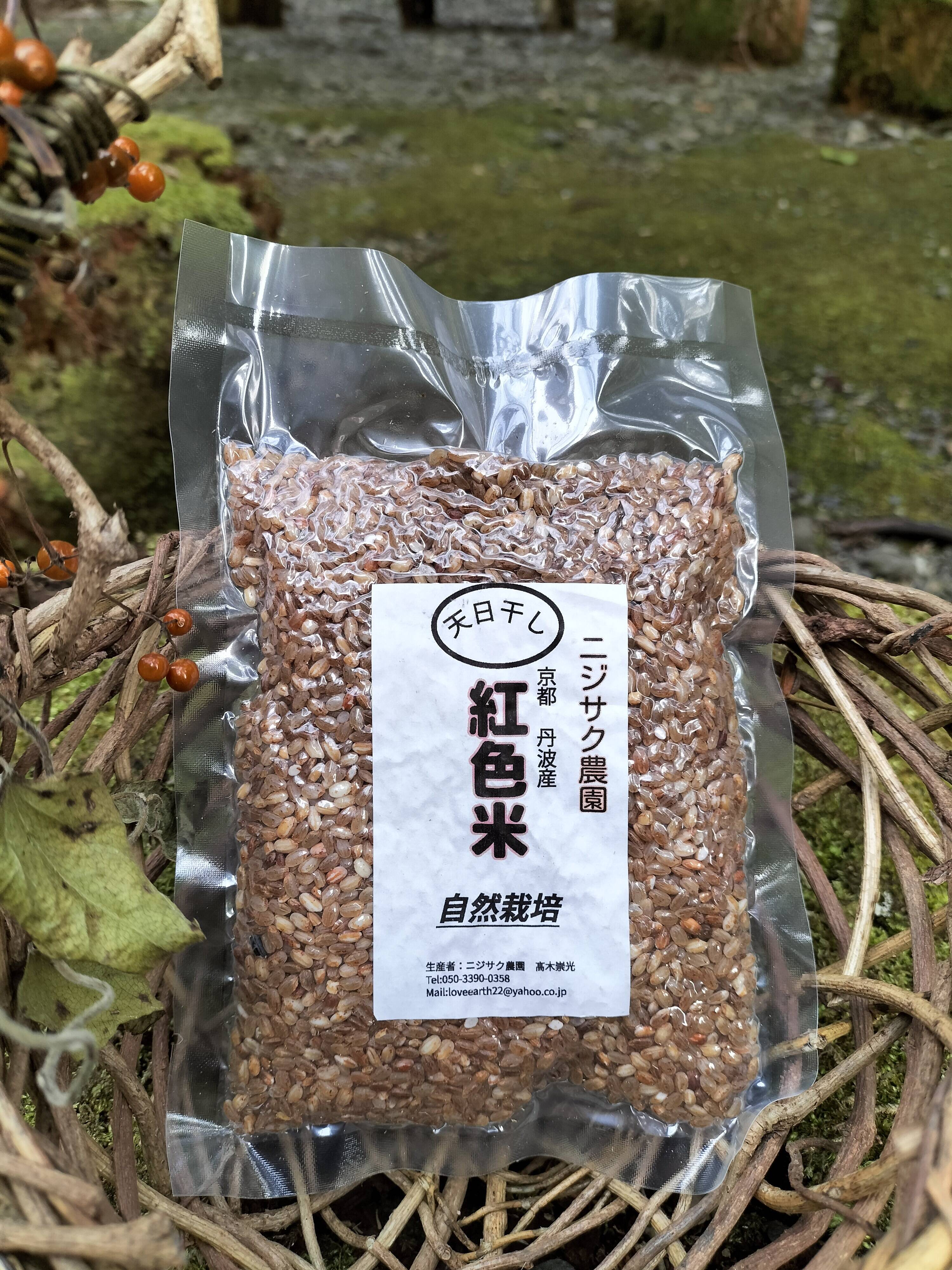 太陽のエネルギーが詰まった！古代米 赤米（300グラム）：京都府産の赤