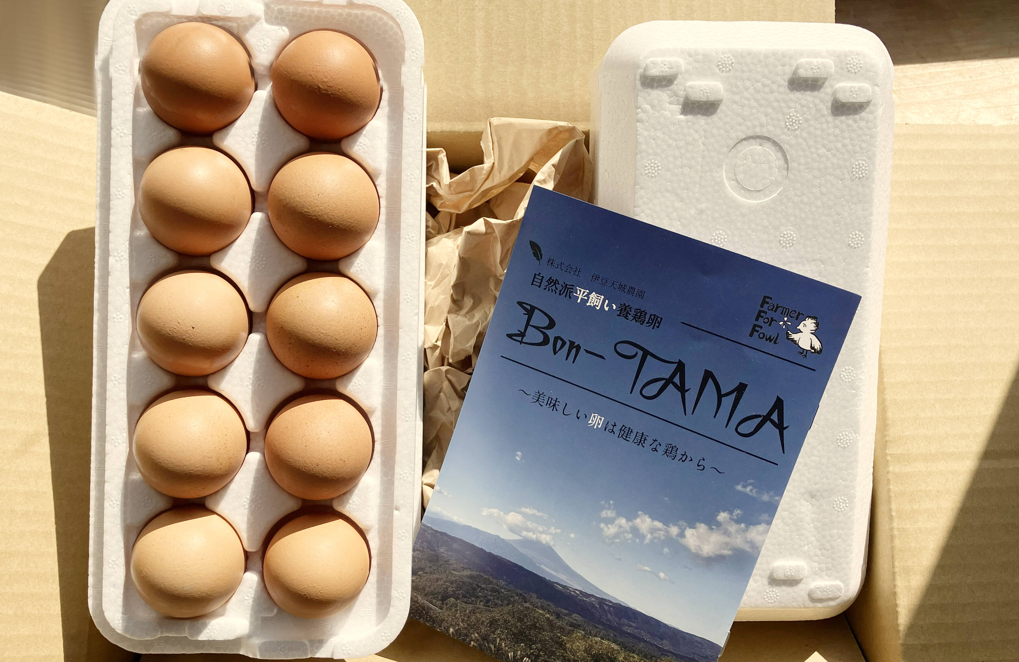 採れたて新鮮たまご】平飼い養鶏卵『Bon-TAMA』M~Lサイズ・20個入り