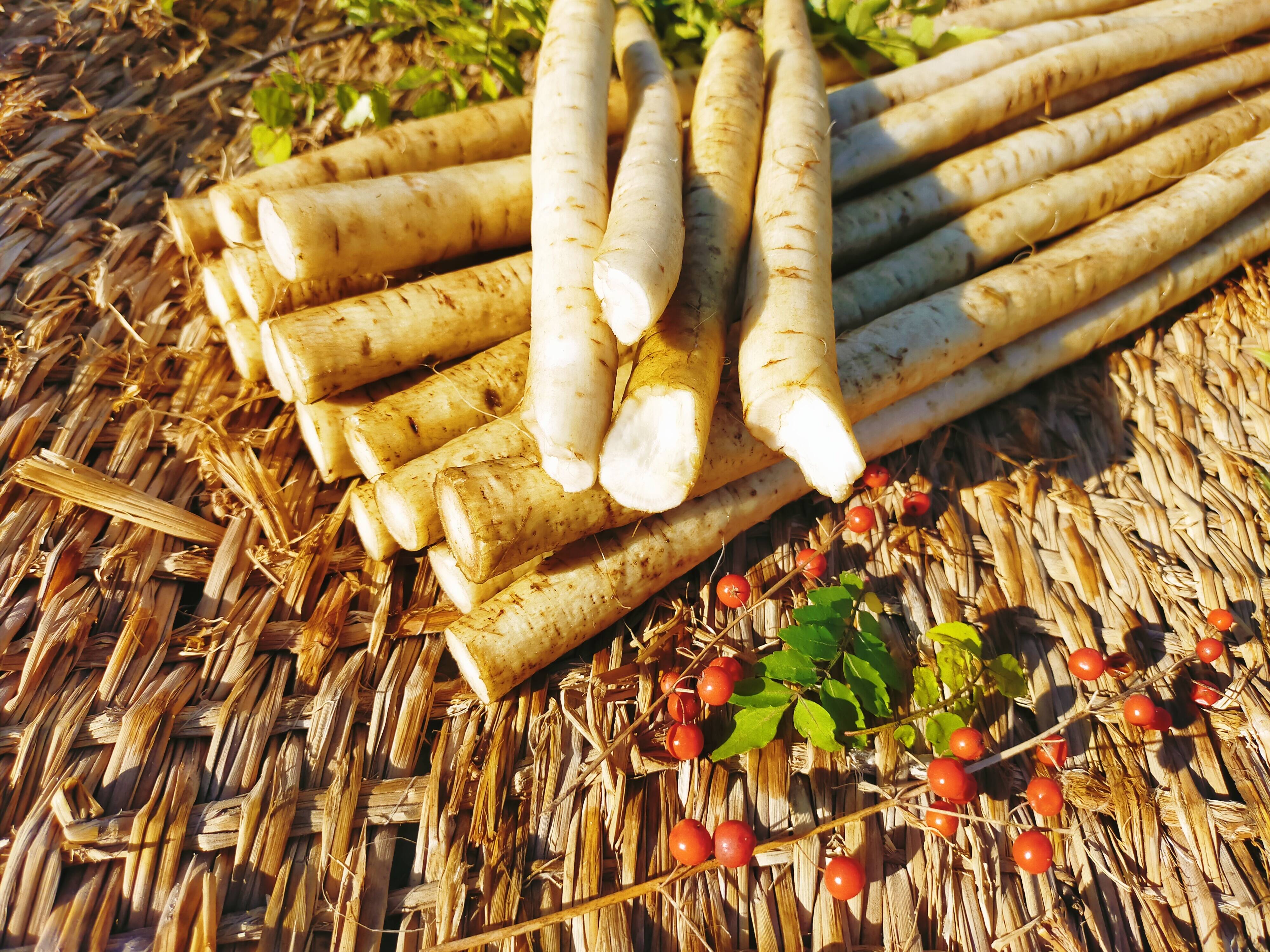 90442de16d22d8af55662277f4d065