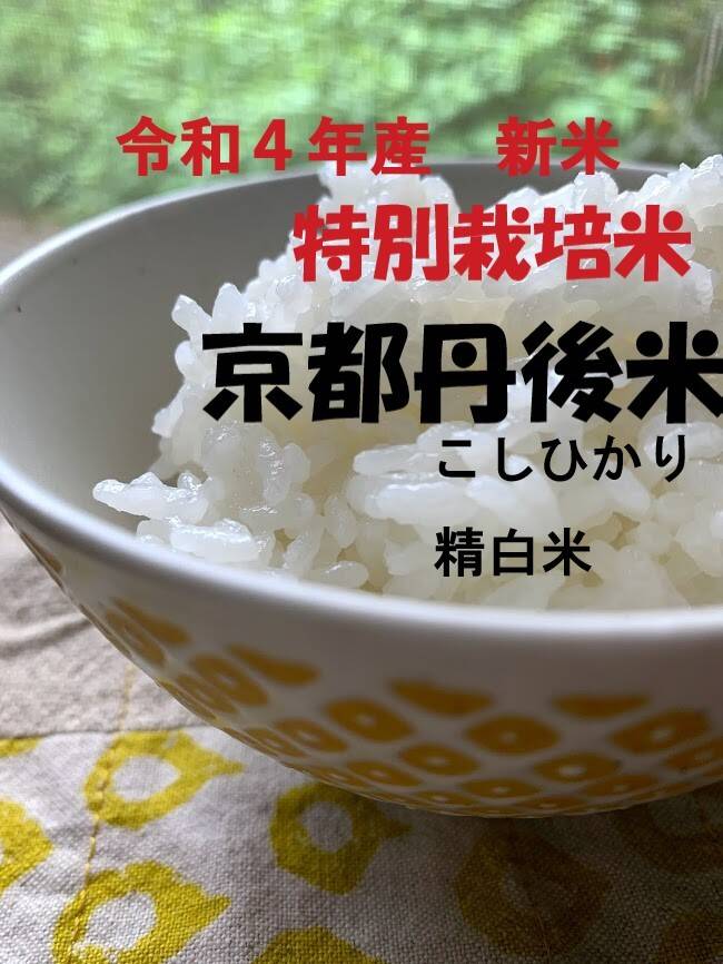 特別セール品 令和4年産 長岡産コシヒカリ玄米30kg 新潟県産こしひかり